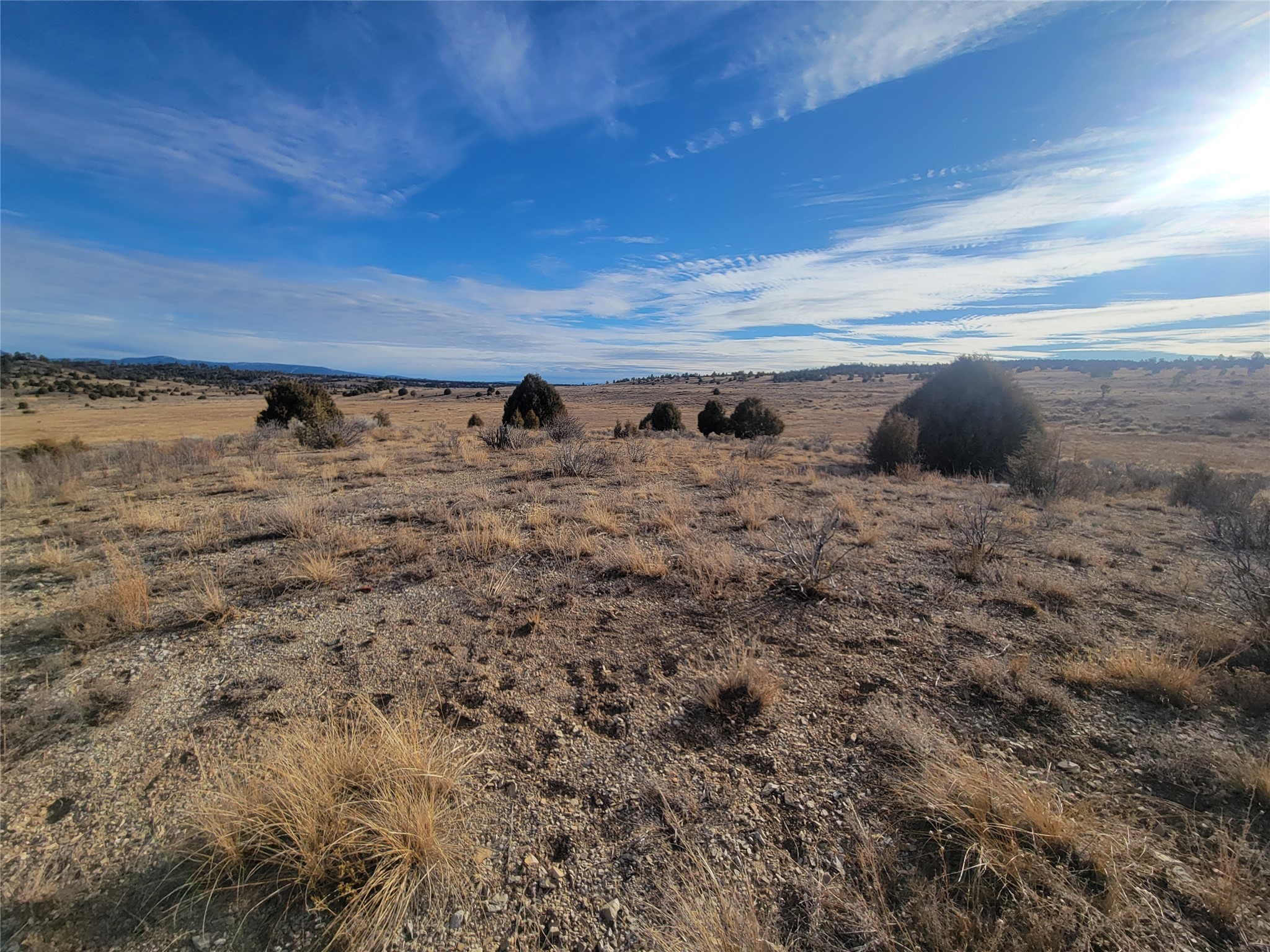 N3 Willow Way, Chama, New Mexico image 14