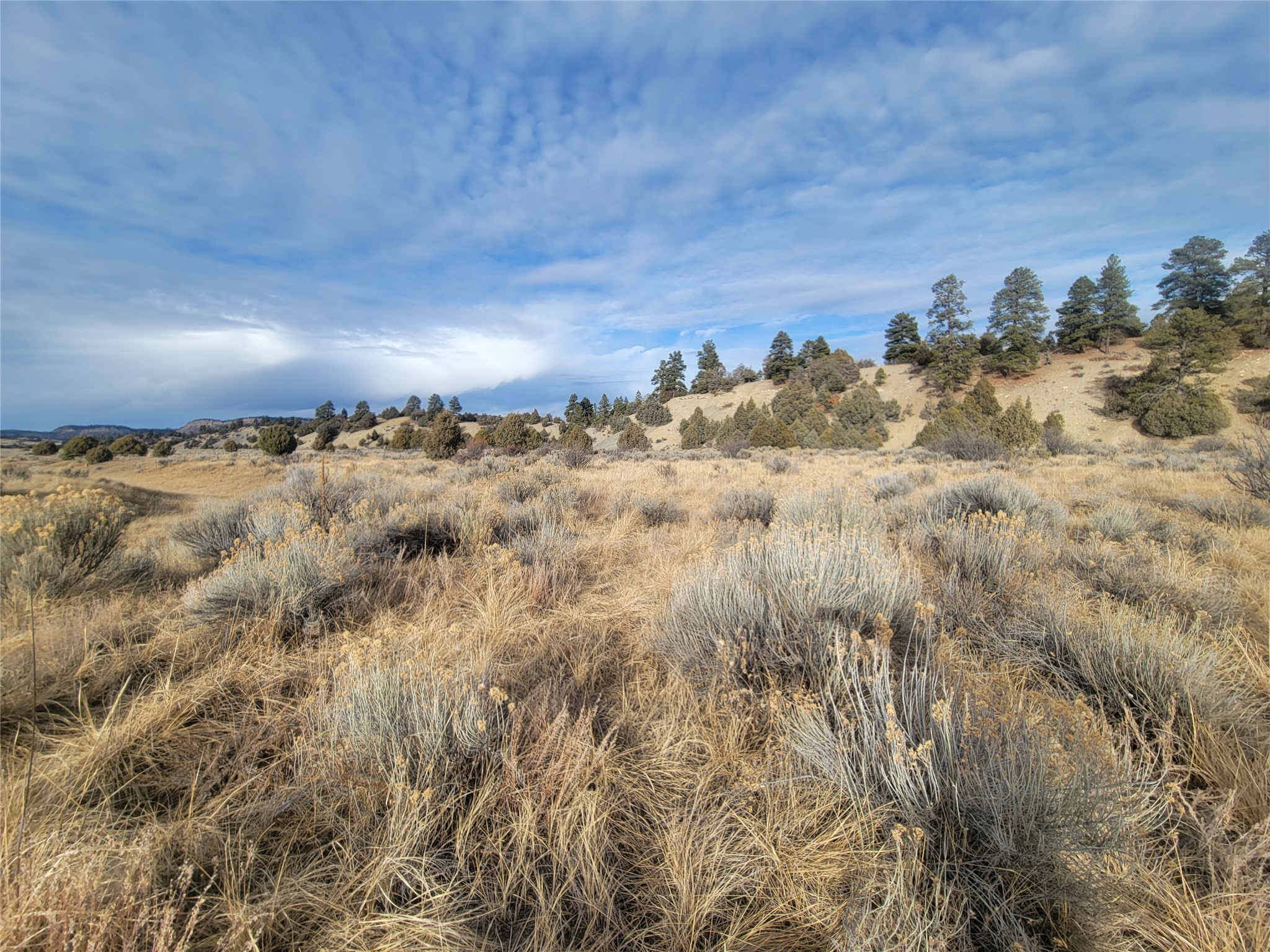 N3 Willow Way, Chama, New Mexico image 3