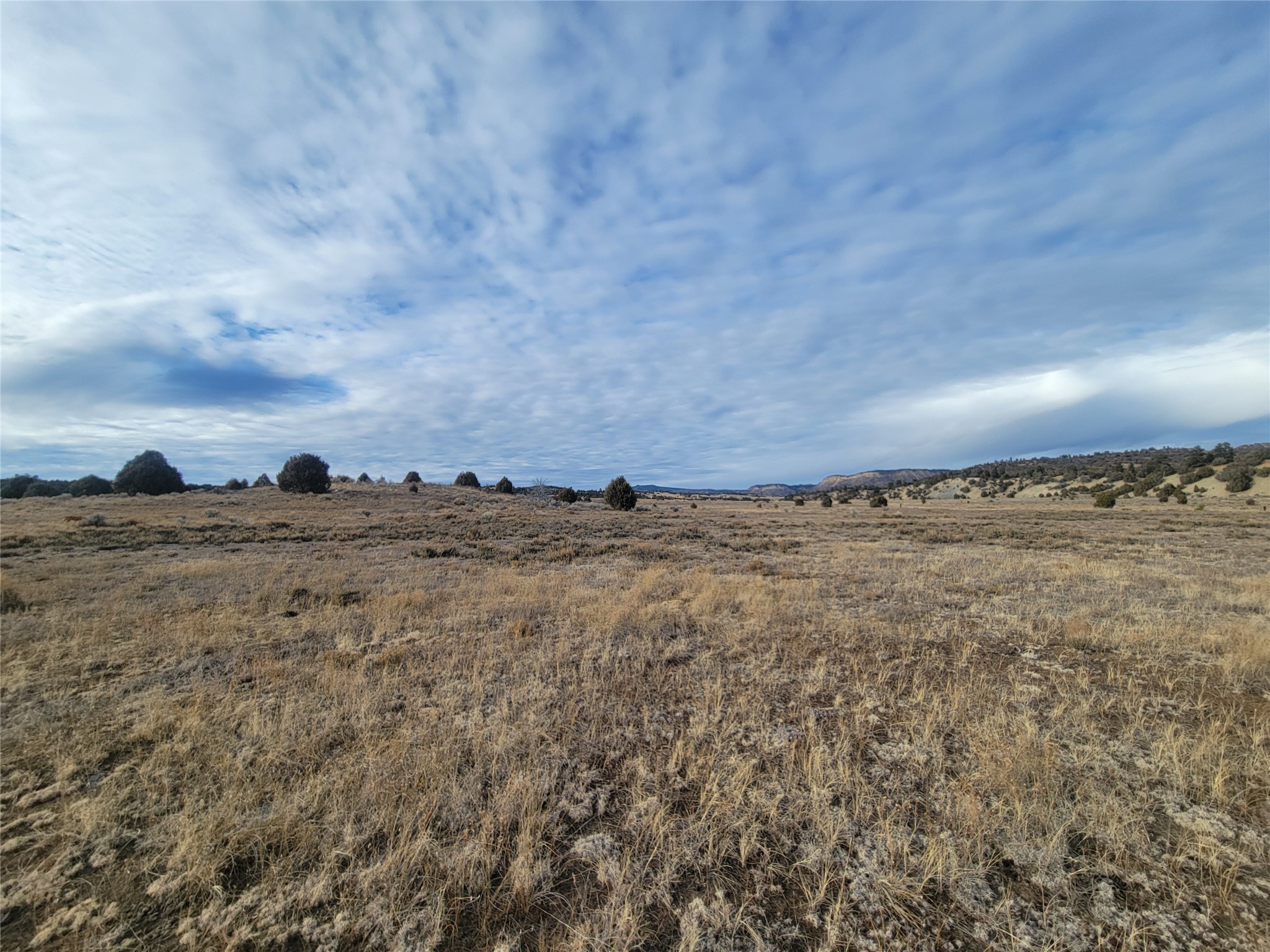 N3 Willow Way, Chama, New Mexico image 35