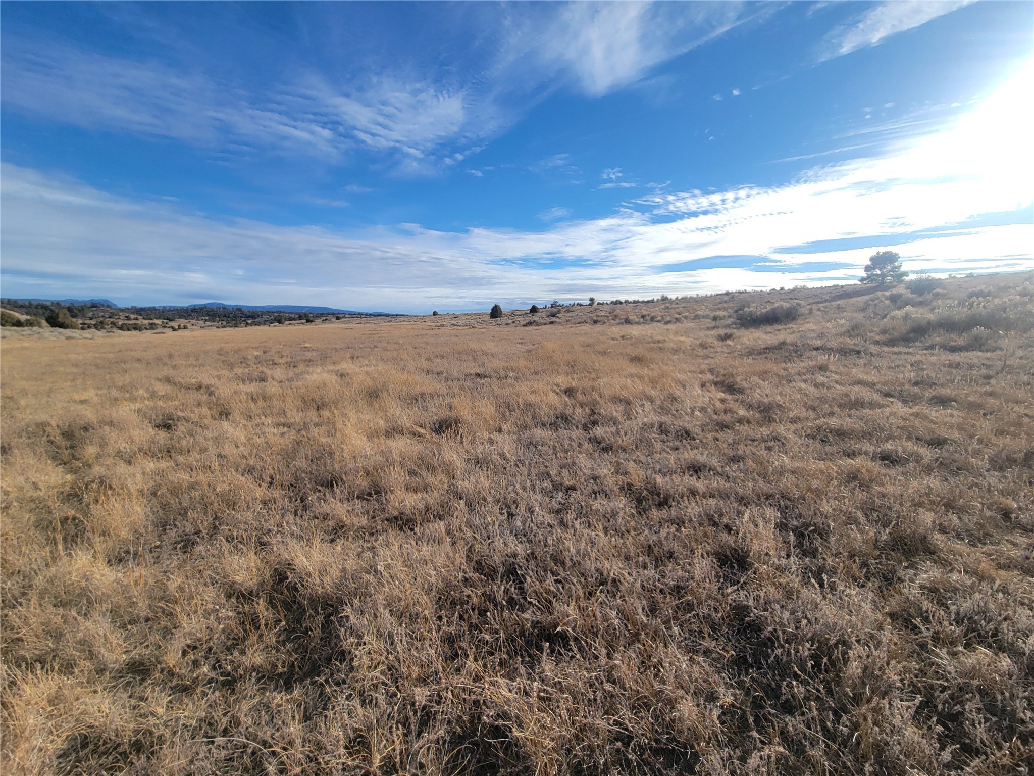 N3 Willow Way, Chama, New Mexico image 9