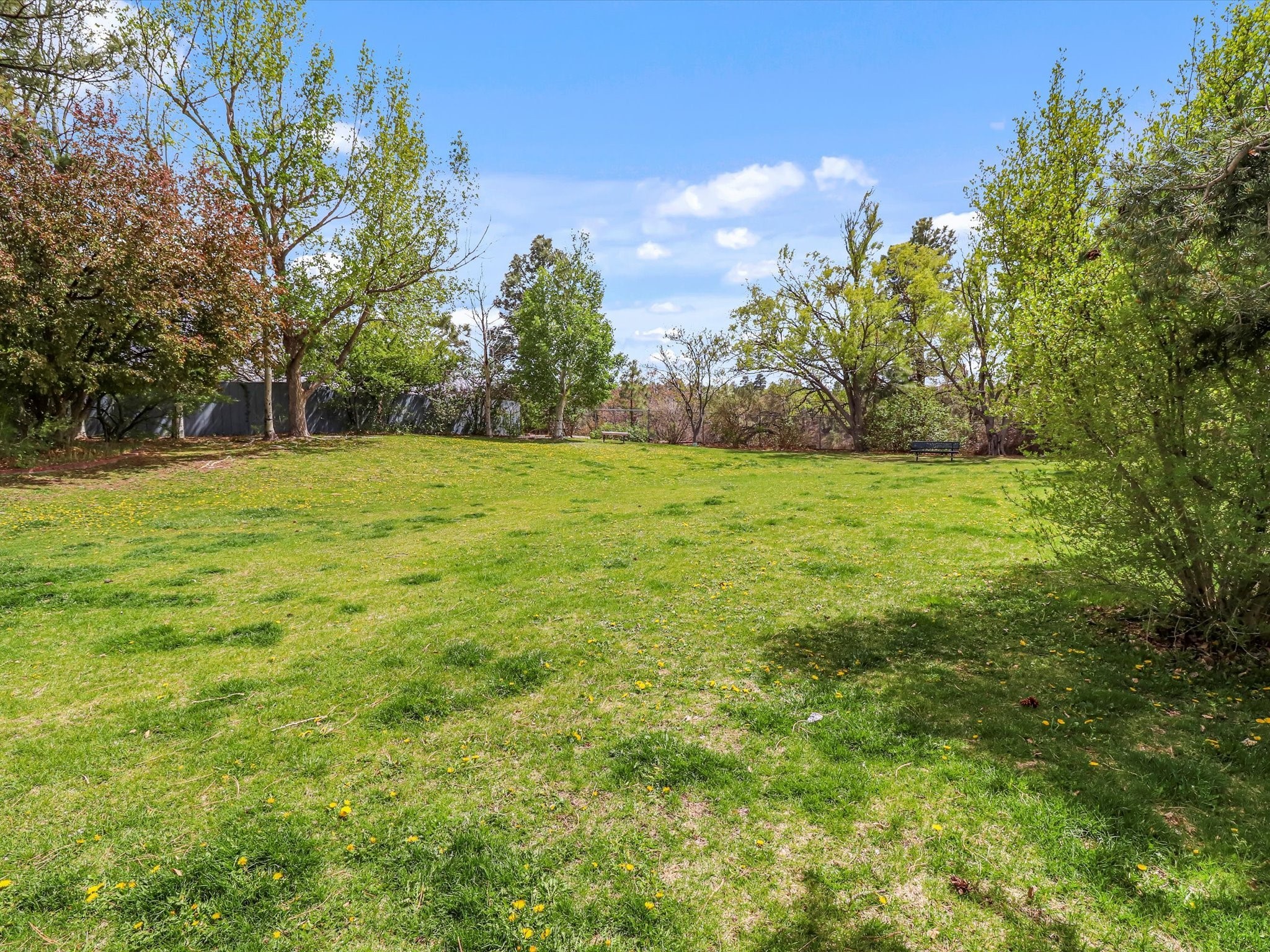 505 Oppenheimer Drive #1304, Los Alamos, New Mexico image 39