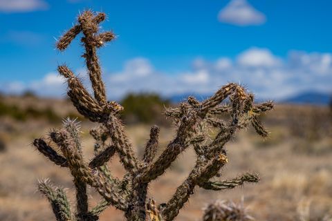 Tiny photo for 38 Sundog, Santa Fe, NM 87508 (MLS # 202501165)