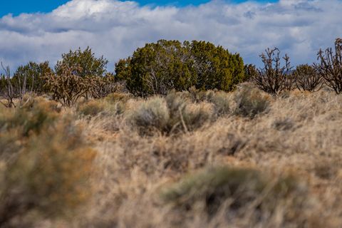 Tiny photo for 38 Sundog, Santa Fe, NM 87508 (MLS # 202501165)