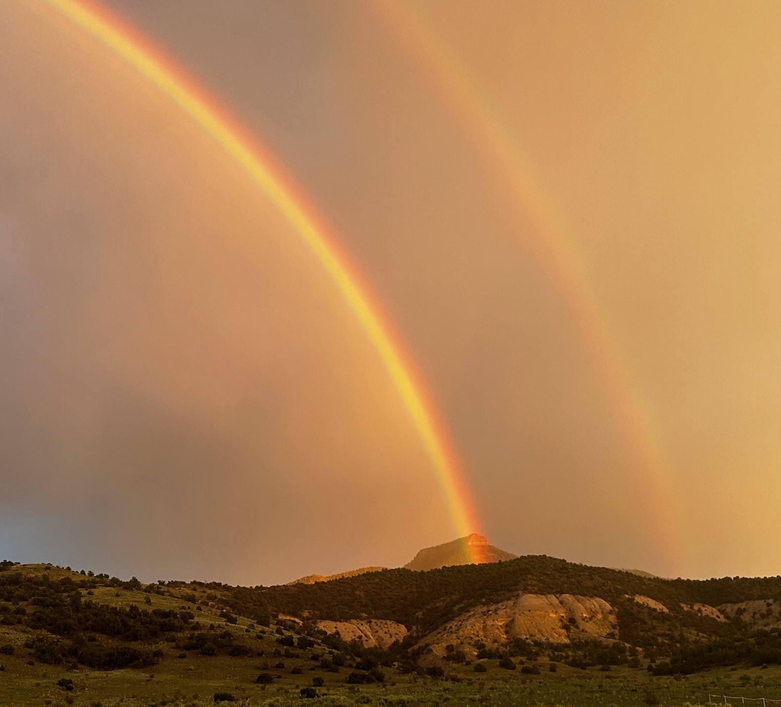 3990 State Road 96, Youngsville, New Mexico image 42