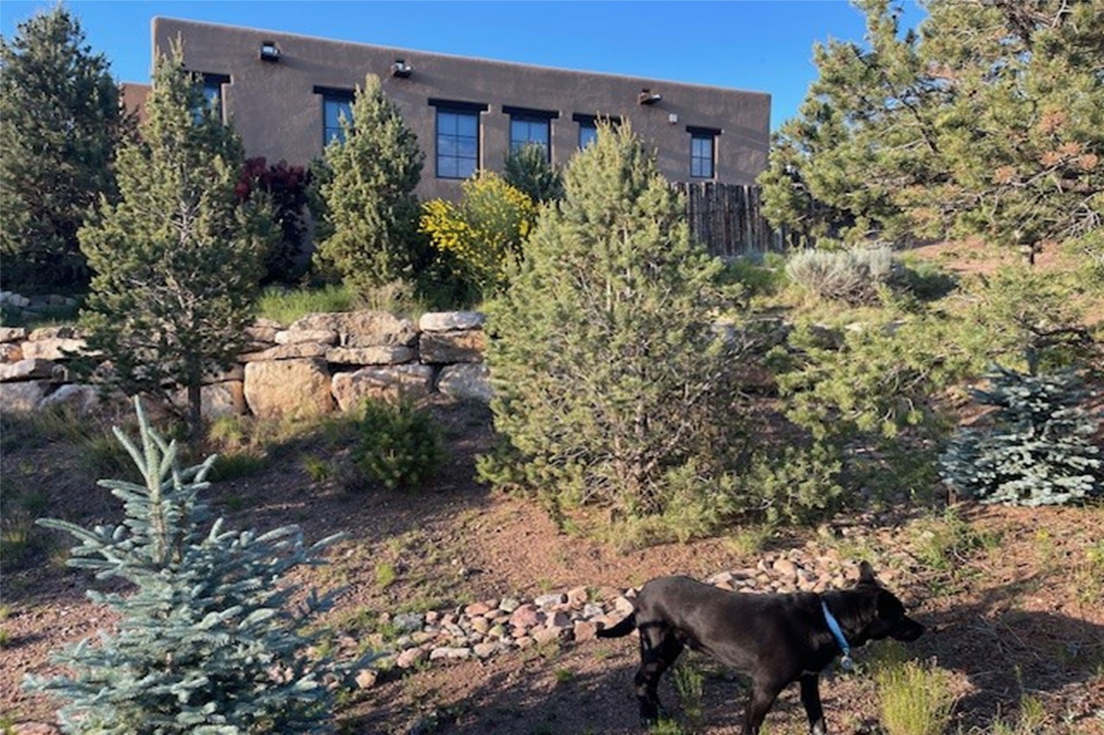 306 Callecita Place, Santa Fe, New Mexico image 40