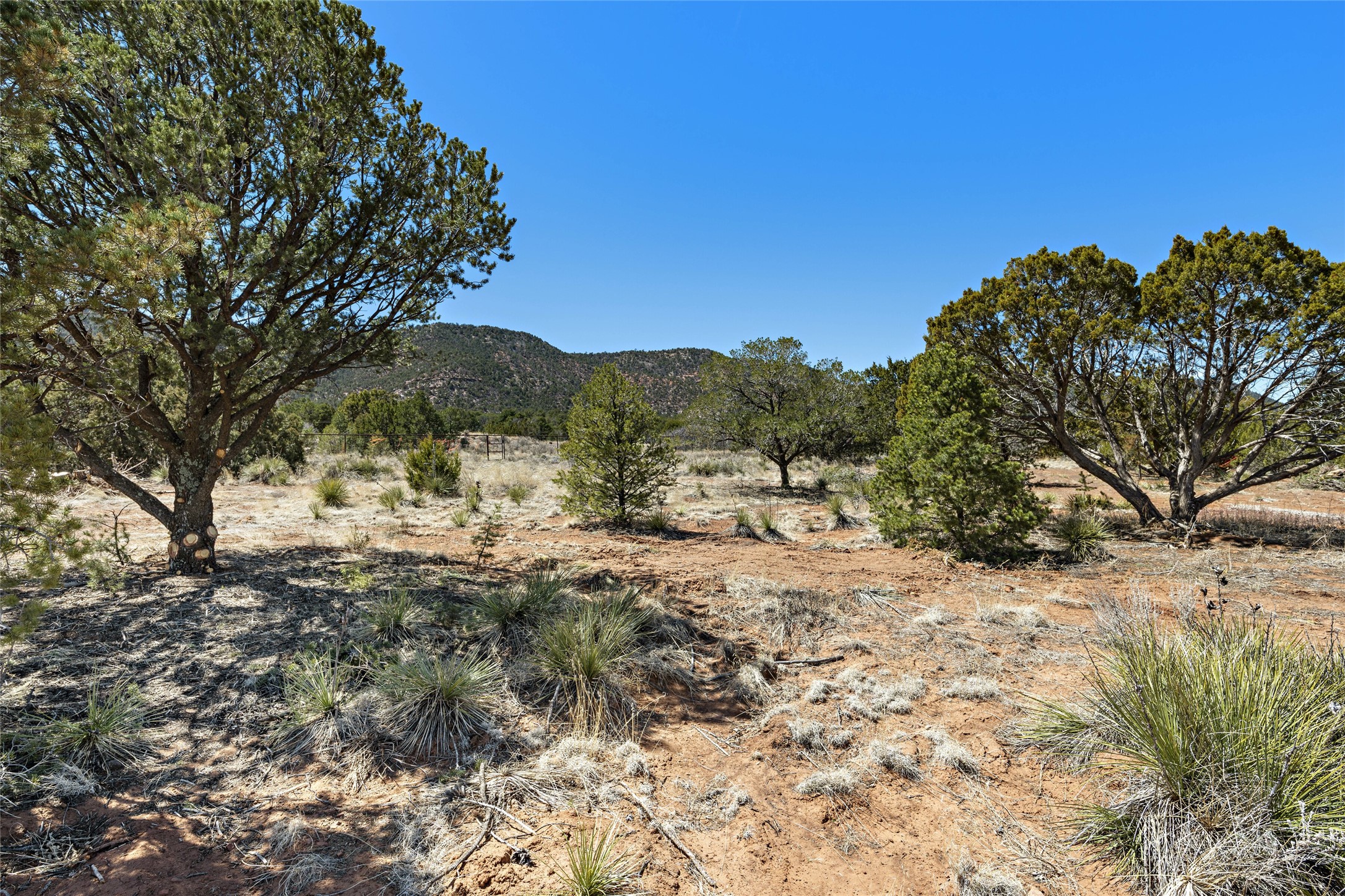 740 Frontage Road 2116, Tract B4, Rowe, New Mexico image 16