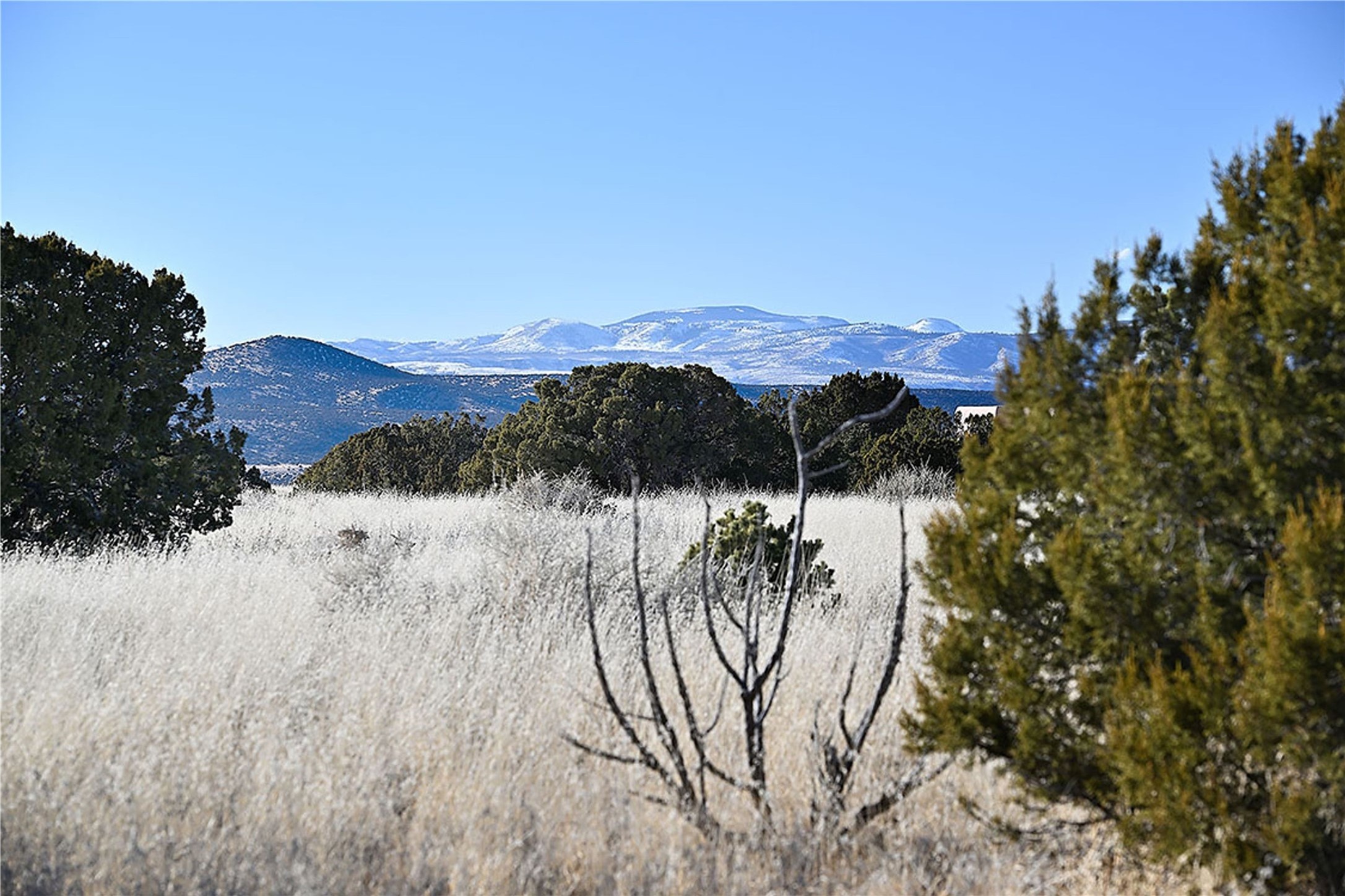 65 Chisholm Trail #LOT 64, Santa Fe, New Mexico image 24