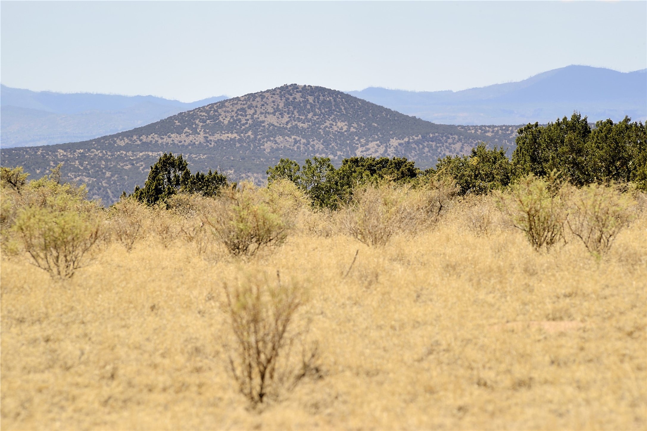 65 Chisholm Trail #LOT 64, Santa Fe, New Mexico image 6