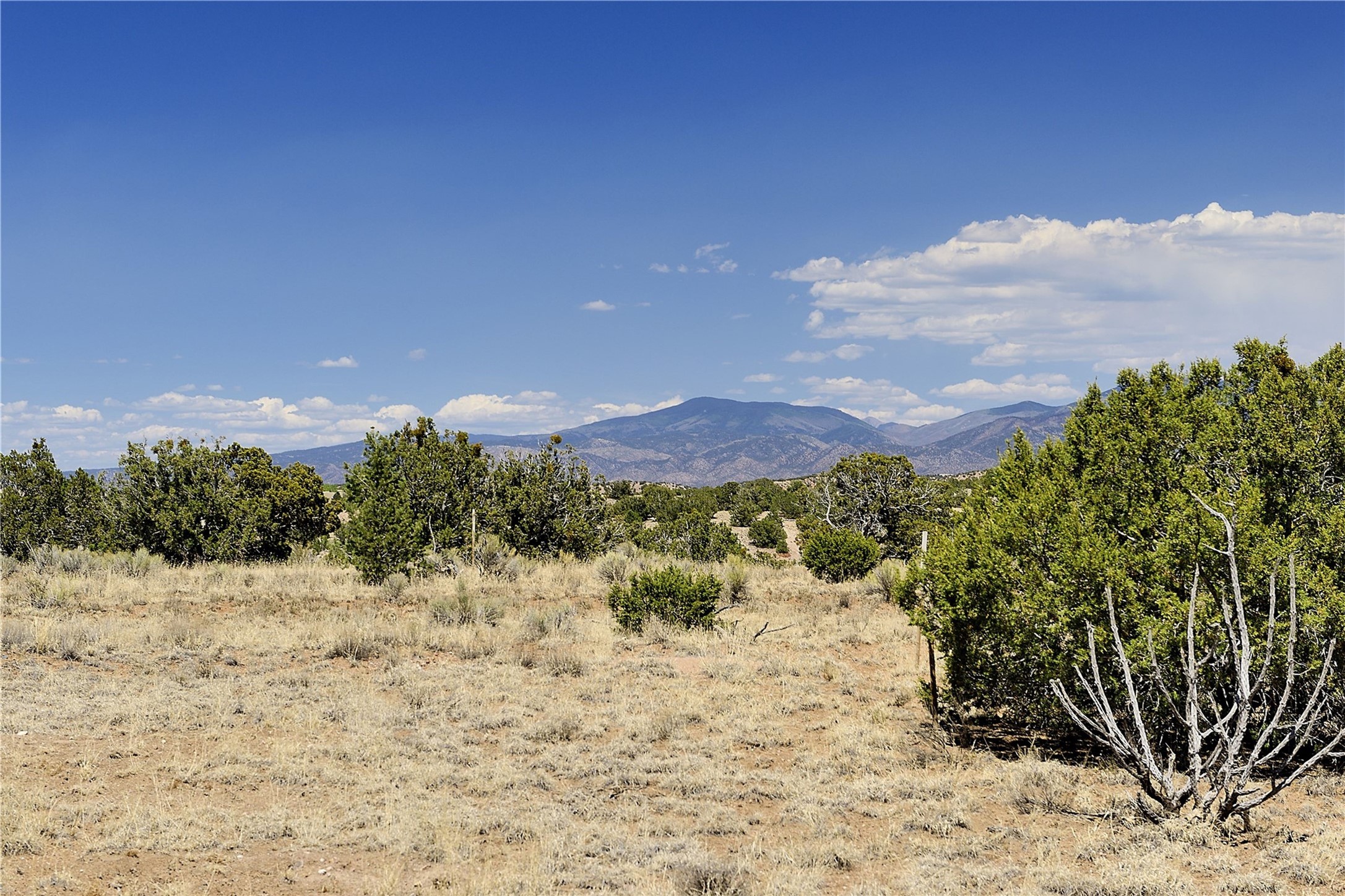 65 Chisholm Trail #LOT 64, Santa Fe, New Mexico image 8