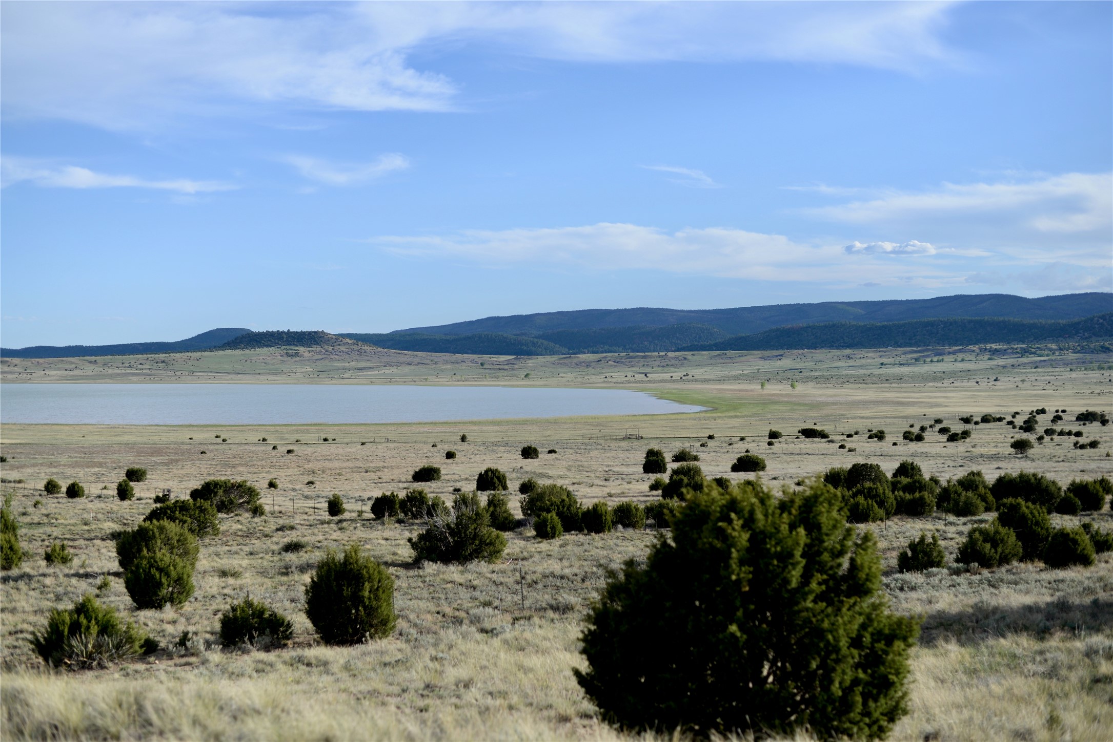 Lot 4 Storrie Lake Rd, Las Vegas, New Mexico image 10