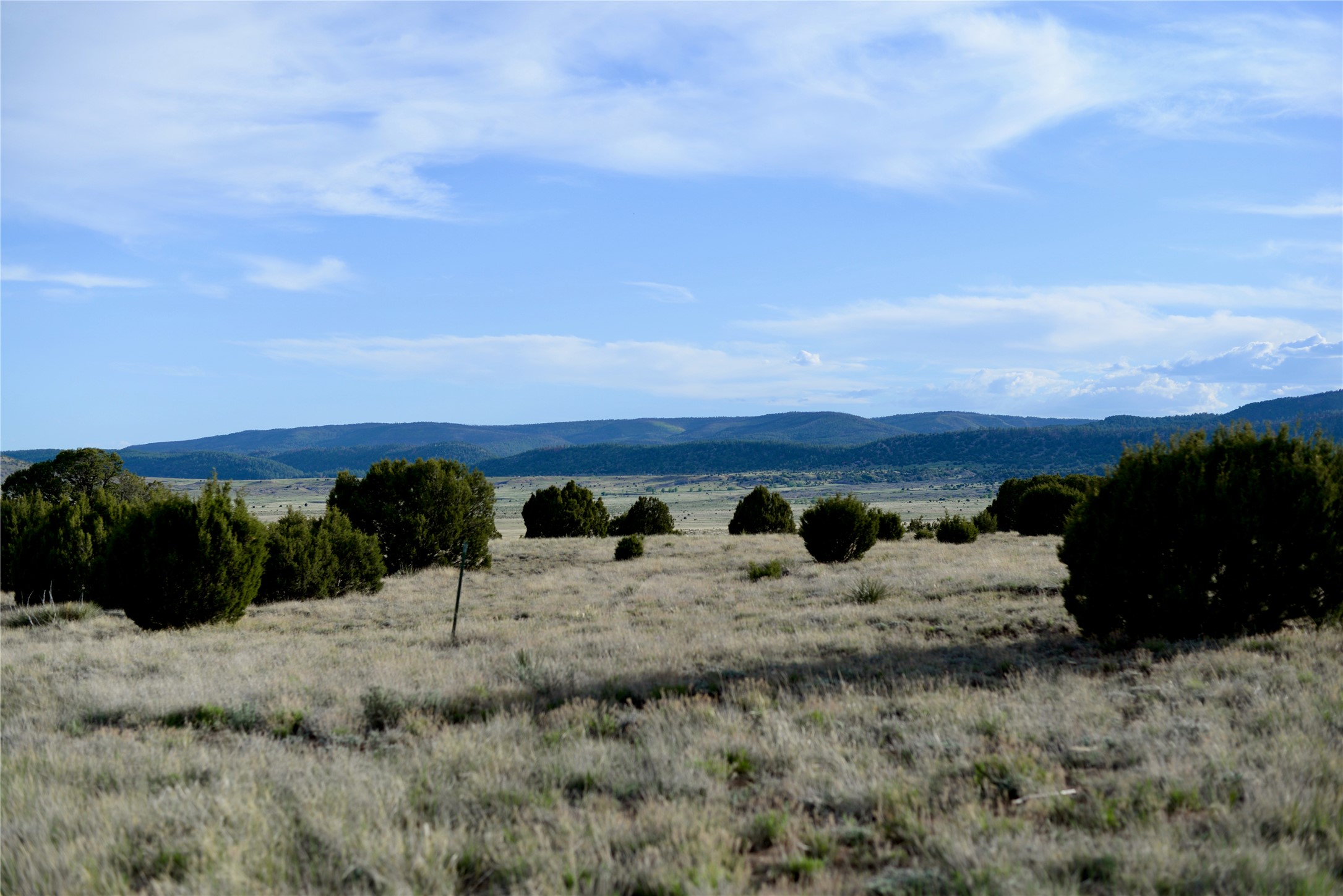 Lot 4 Storrie Lake Rd, Las Vegas, New Mexico image 6