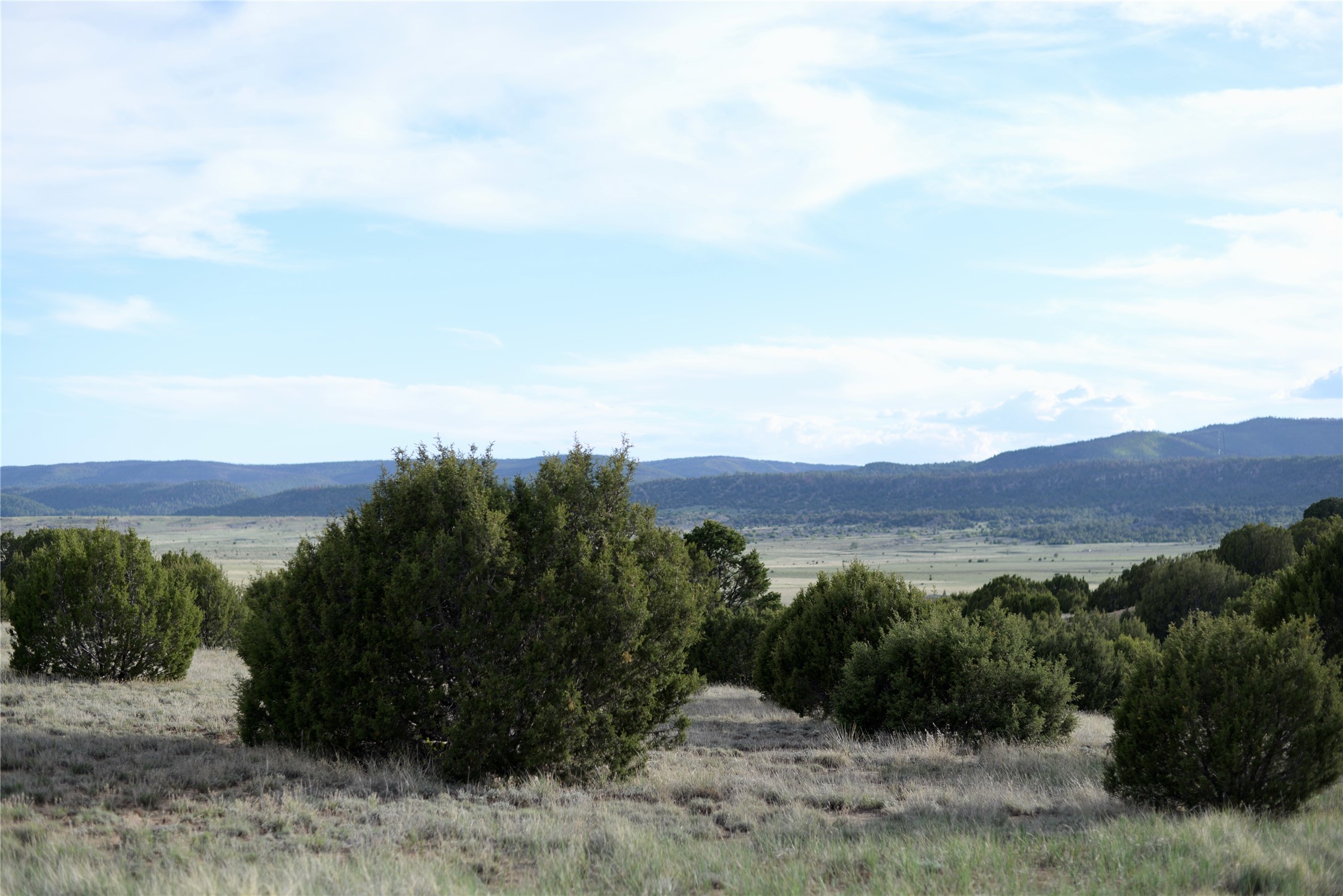 Lot 4 Storrie Lake Rd, Las Vegas, New Mexico image 3