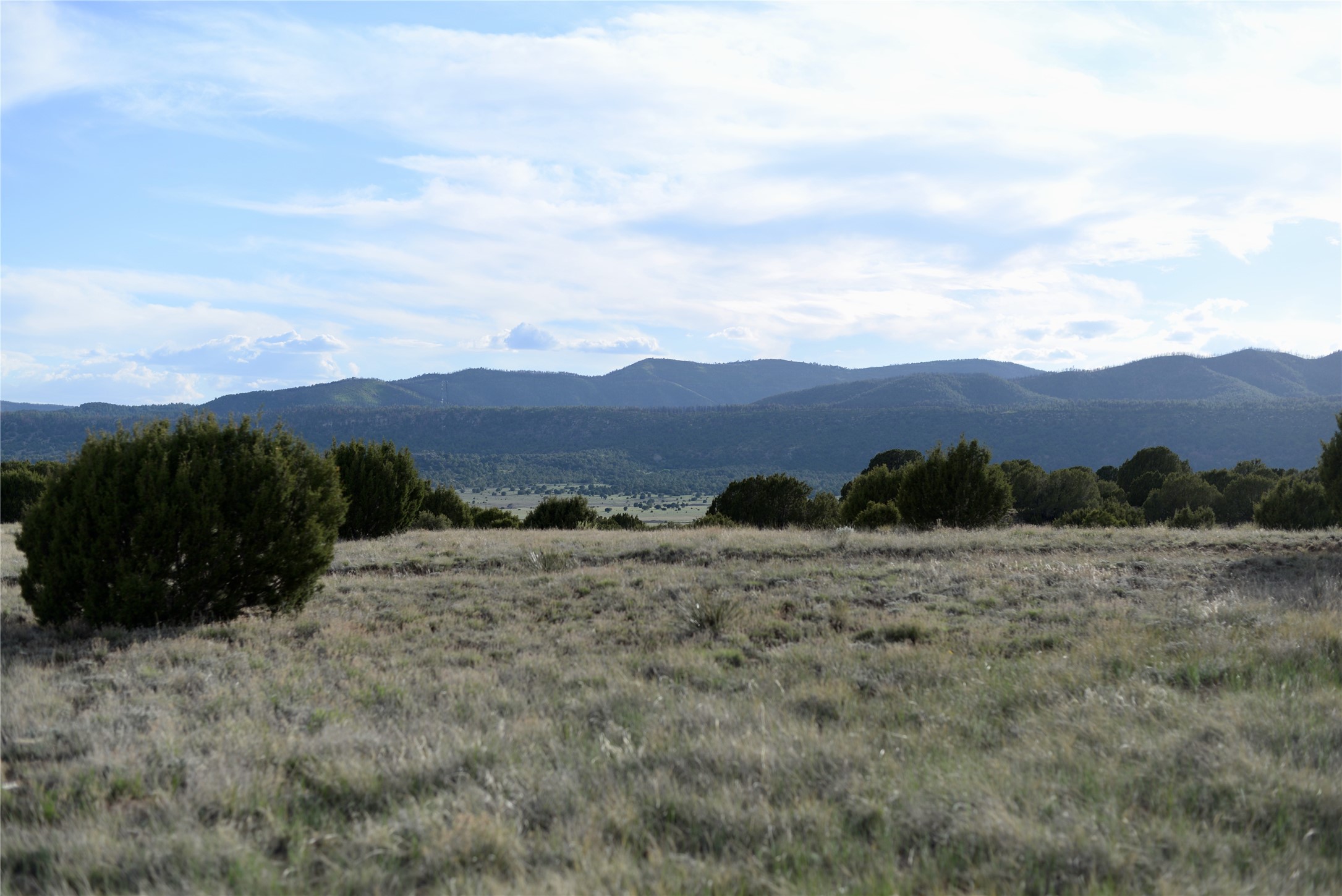 Lot 4 Storrie Lake Rd, Las Vegas, New Mexico image 7