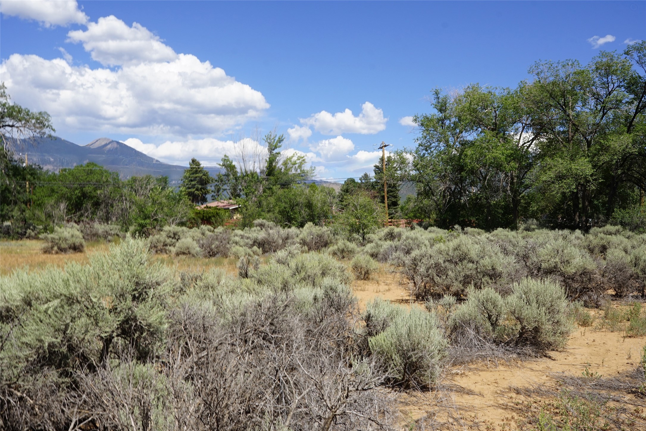 XX La Posta Road, Taos, New Mexico image 4