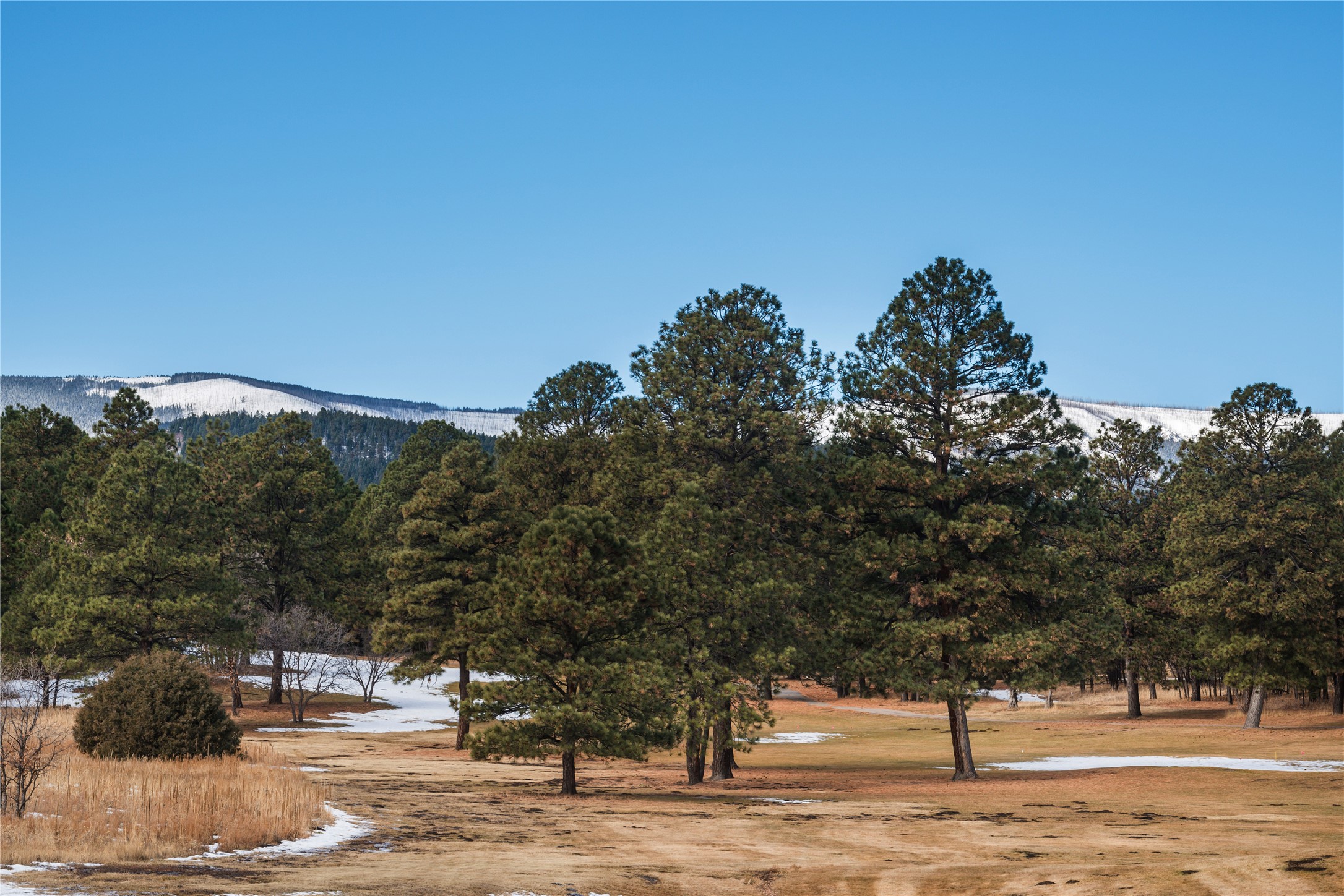 Lot 44 Avenida Securidad, Rociada, New Mexico image 1