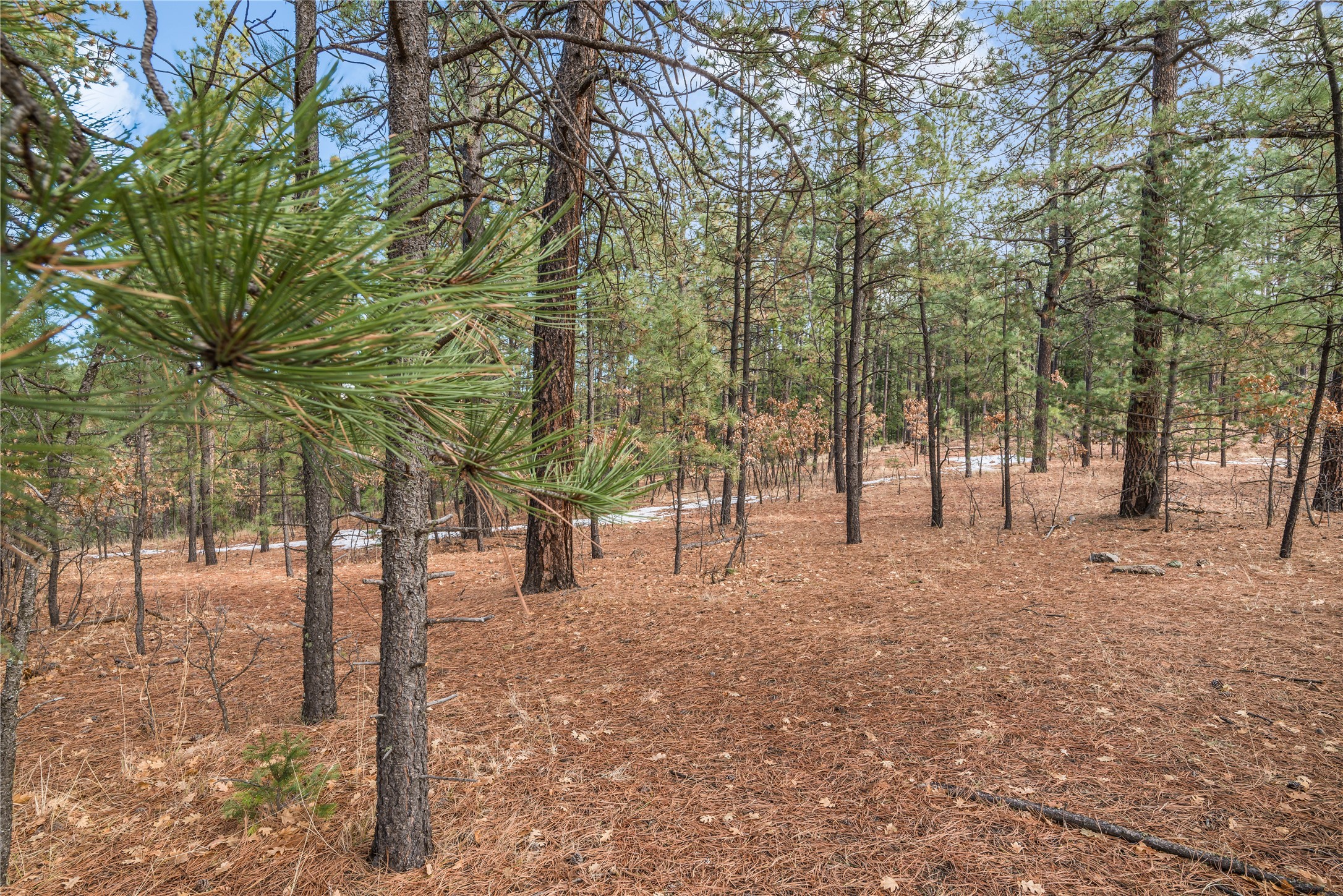 Lot 44 Avenida Securidad, Rociada, New Mexico image 6