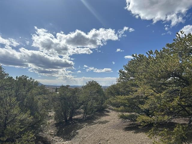 Pinon Trail, Taos, New Mexico image 15