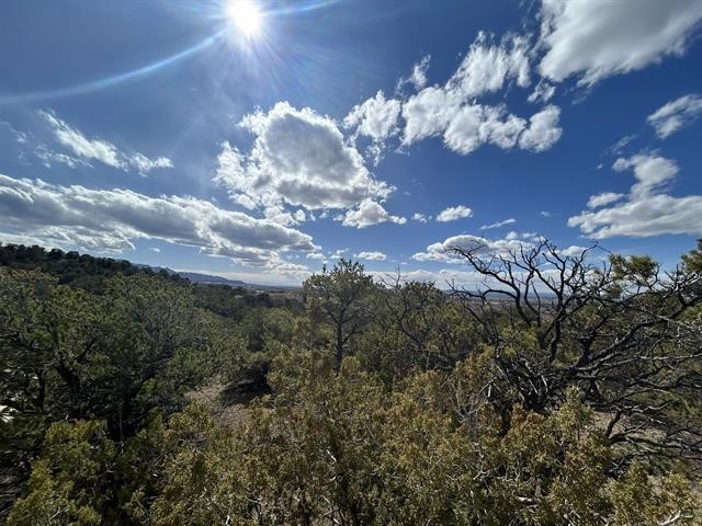 Pinon Trail, Taos, New Mexico image 23