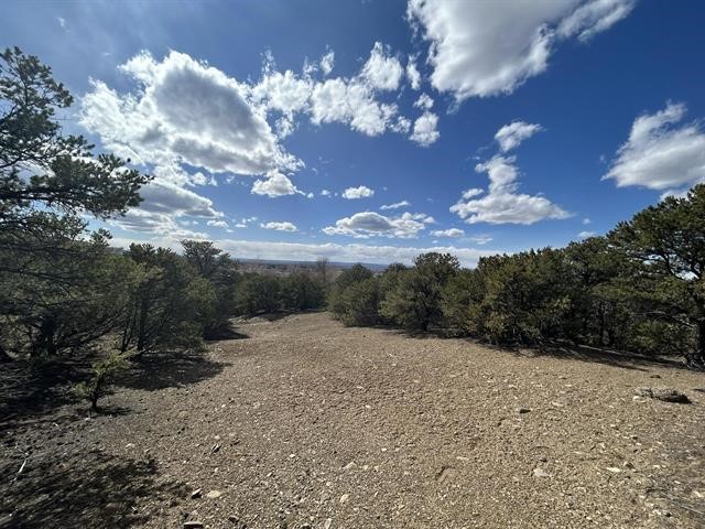 Pinon Trail, Taos, New Mexico image 21