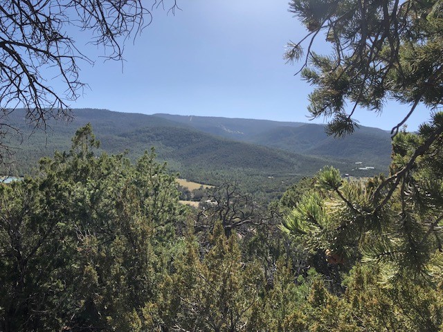 Lots 202122 Mountain Road, La Madera, New Mexico image 3