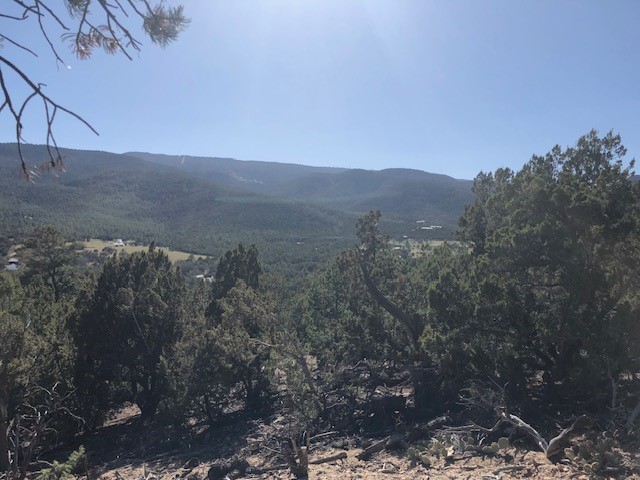 Lots 202122 Mountain Road, La Madera, New Mexico image 7
