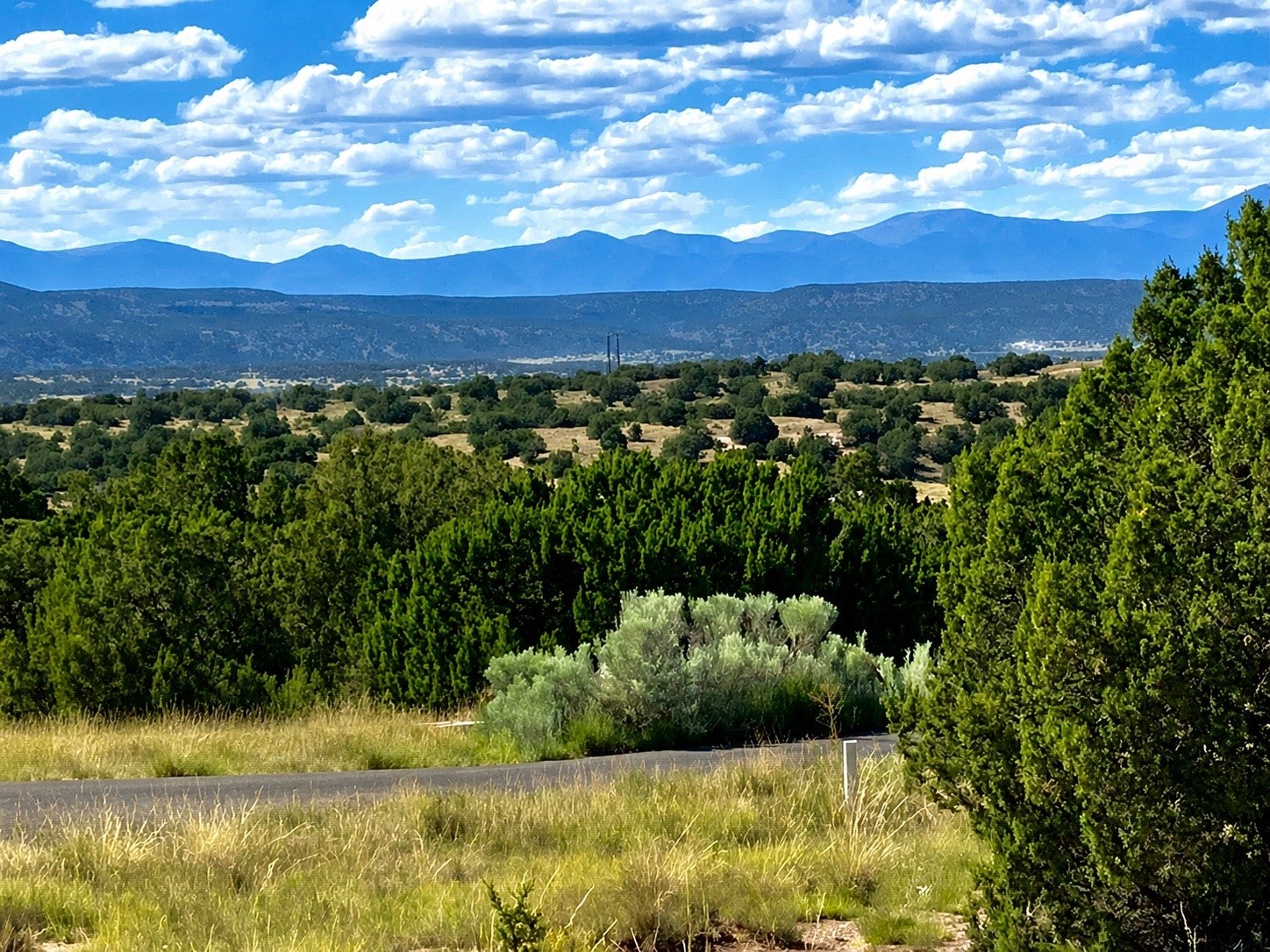 103 Paseo Aragon - Photo 2