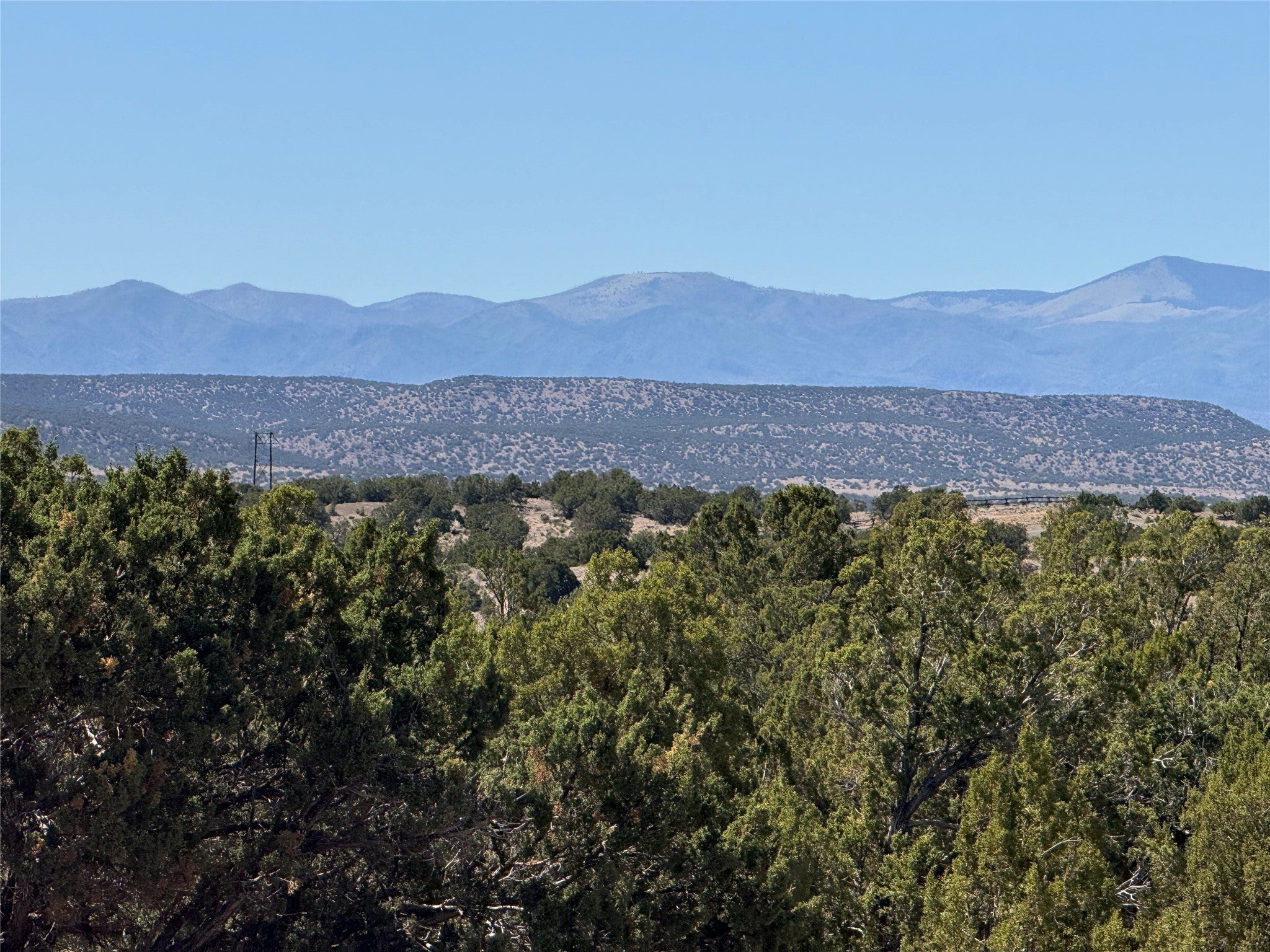 103 Paseo Aragon - Photo 3