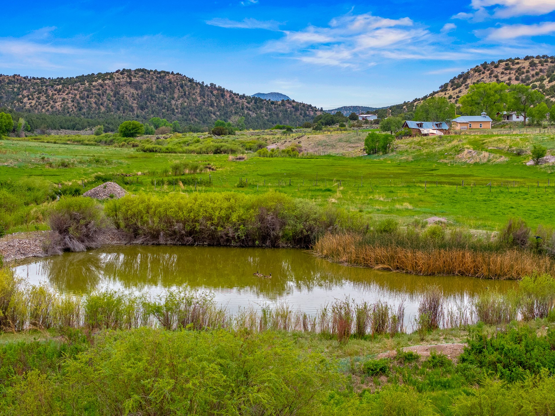 248 State Road 341, La Madera, New Mexico image 9