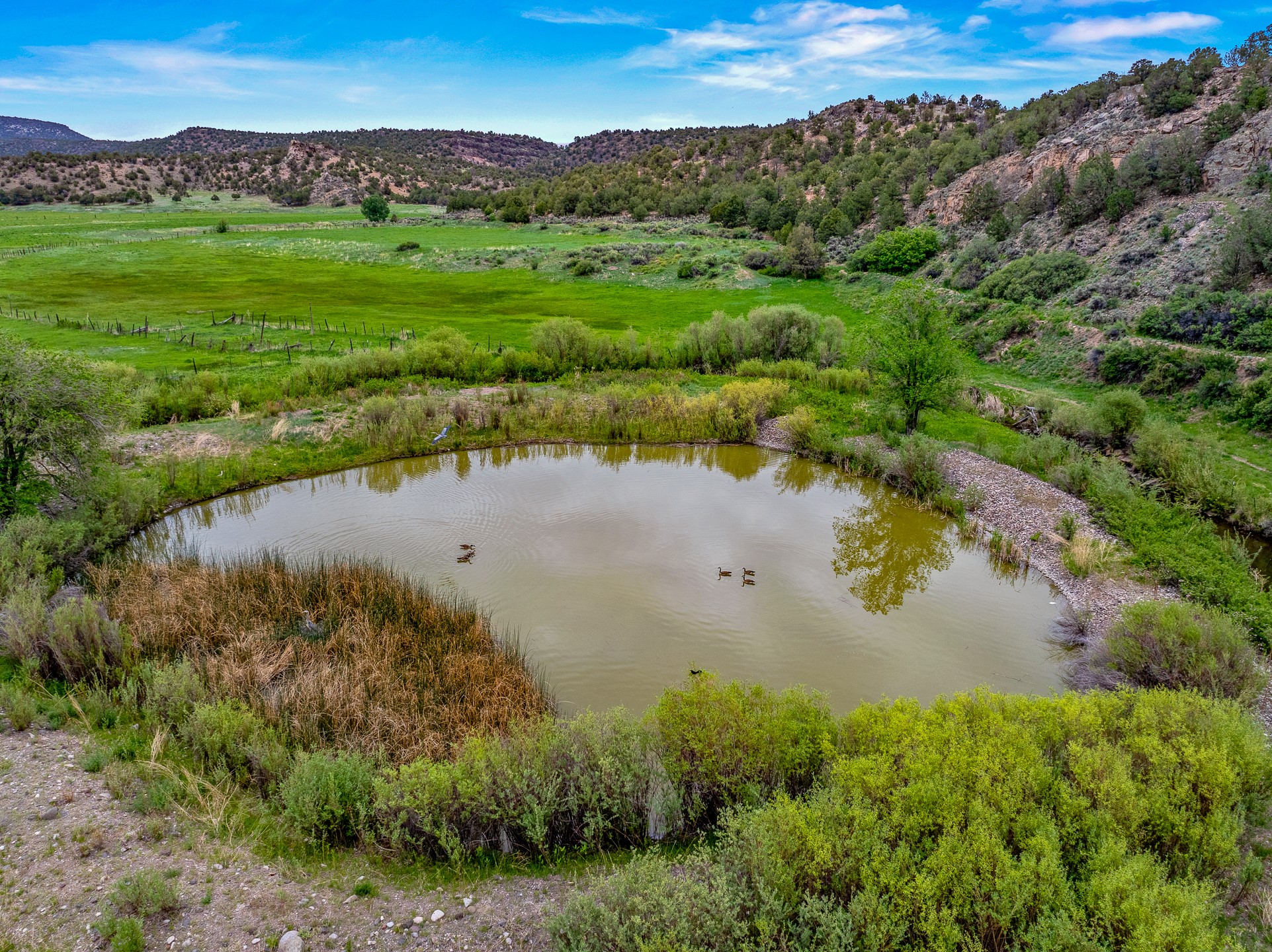 248 State Road 341, La Madera, New Mexico image 31
