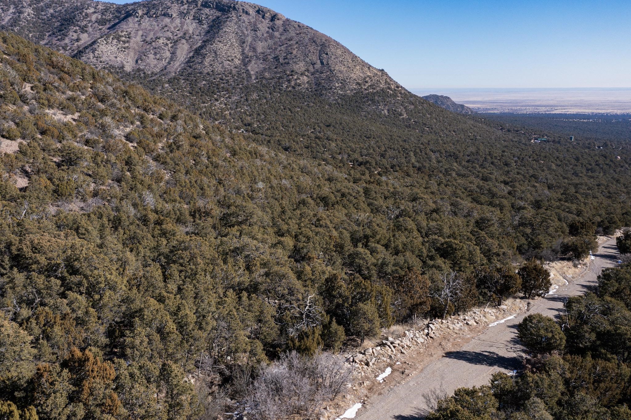 Mountain, Edgewood, New Mexico image 17