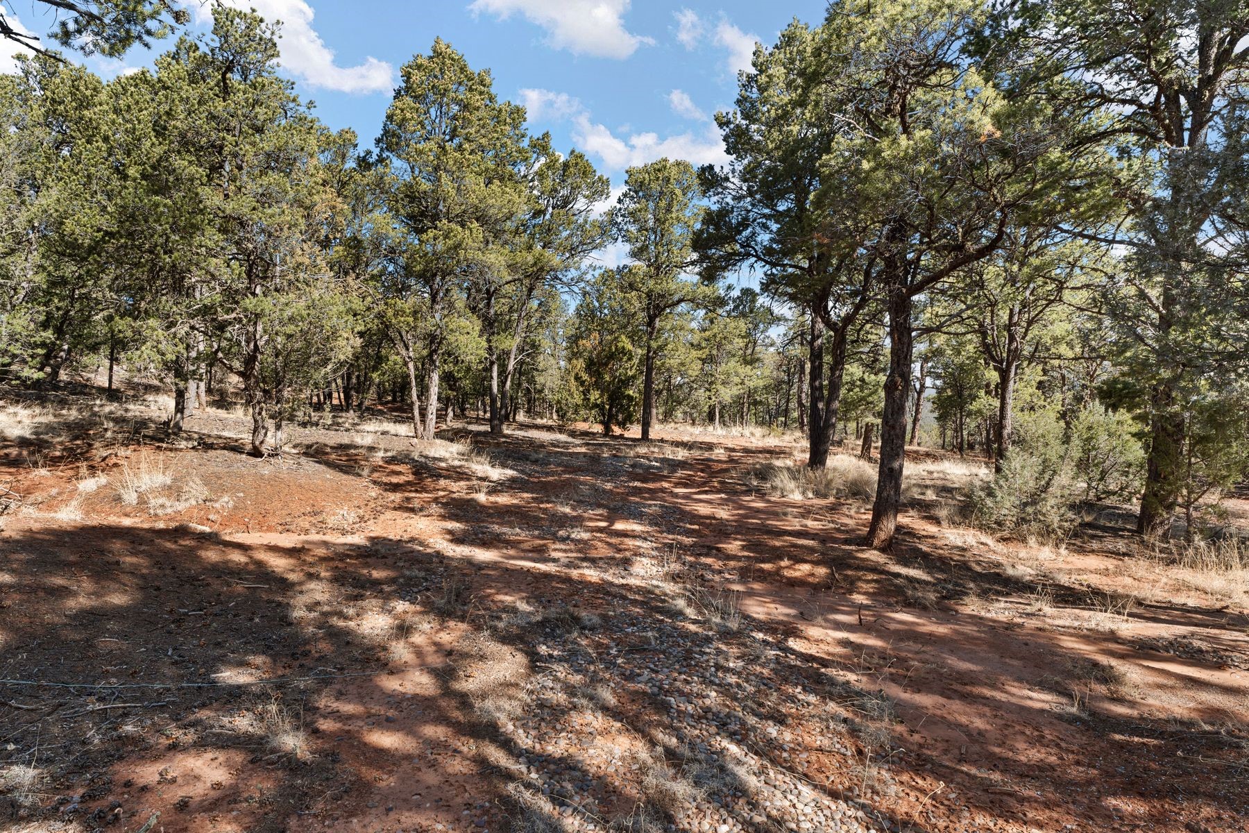 26 Hummingbird Ln, Glorieta, New Mexico image 9
