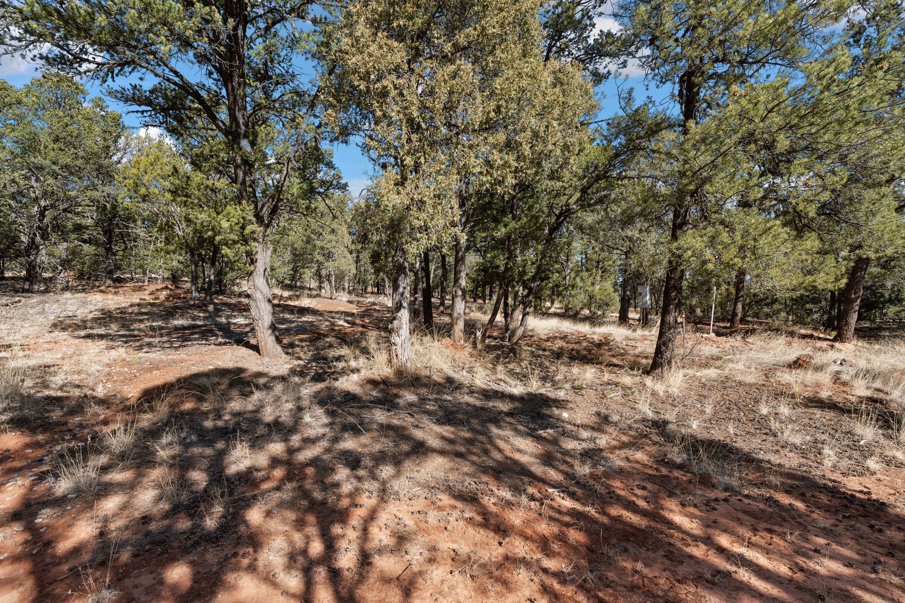 26 Hummingbird Ln, Glorieta, New Mexico image 10