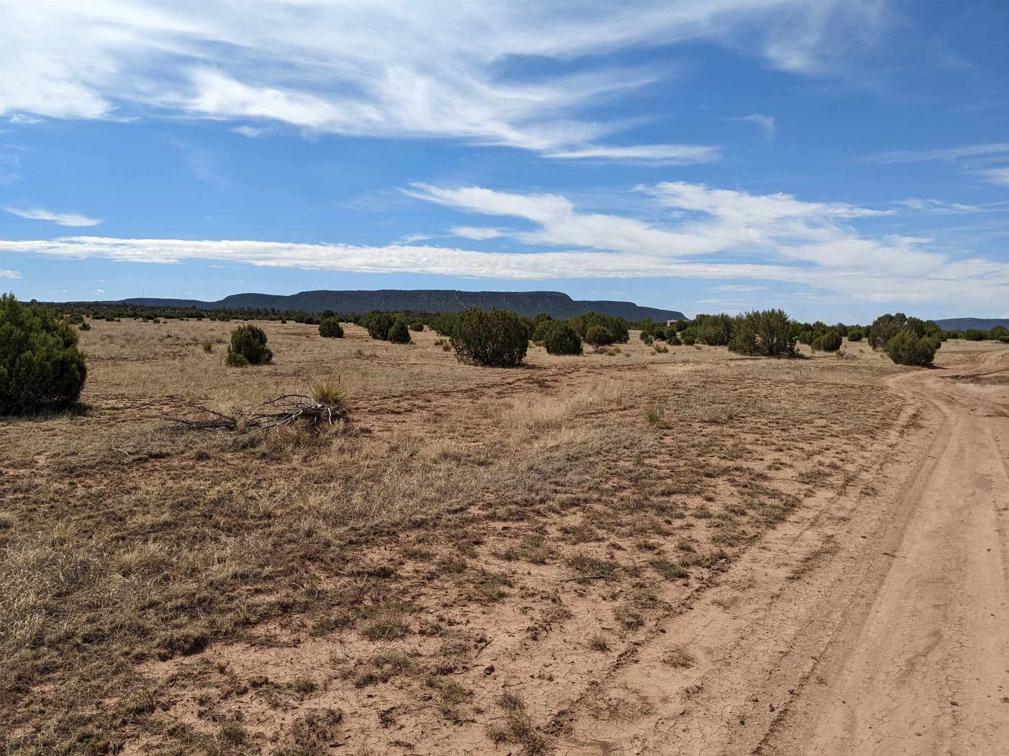 70 Flamingo Road, Ribera, New Mexico image 9