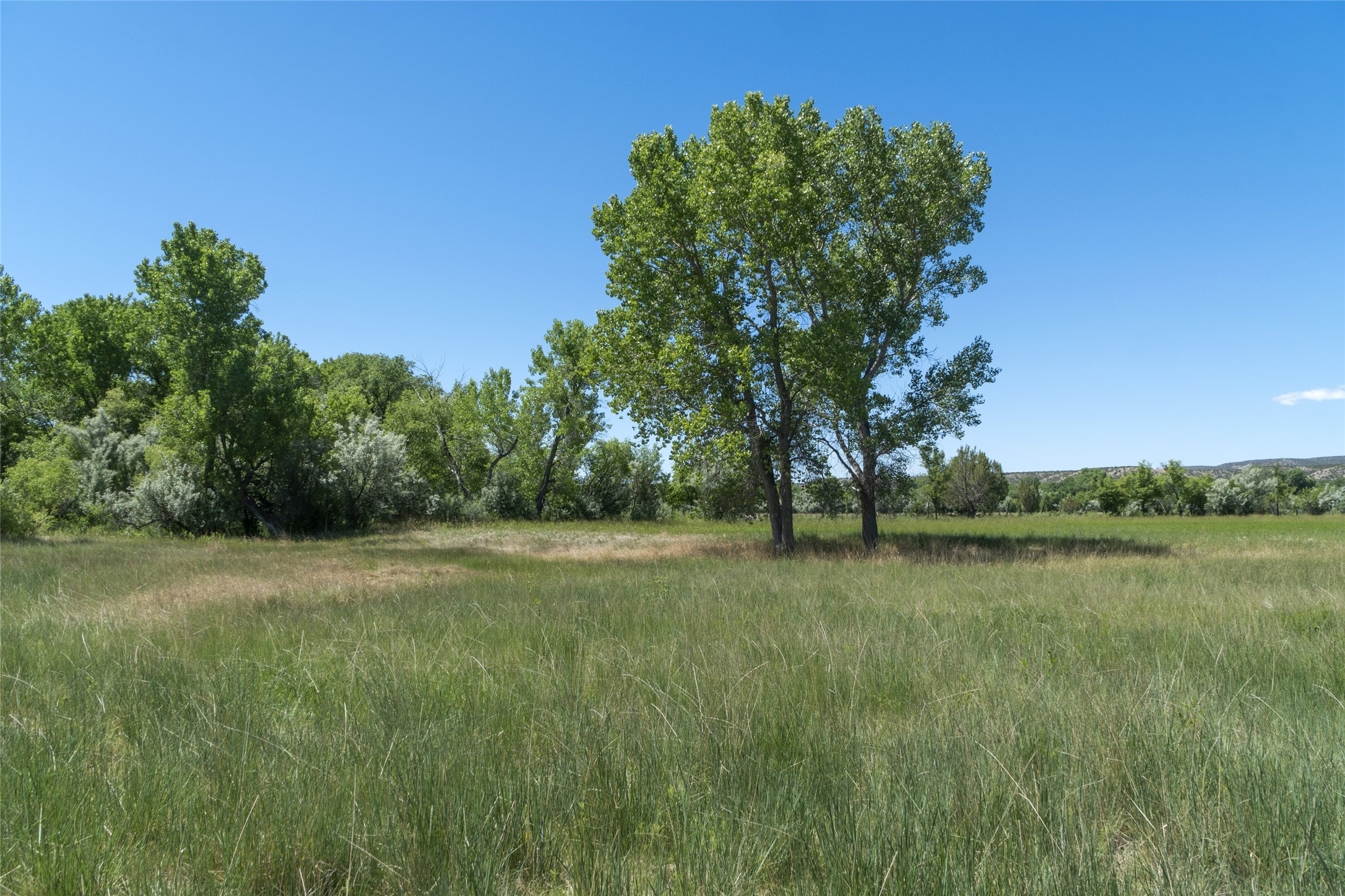 789 County Road 01, Hernandez, New Mexico image 26