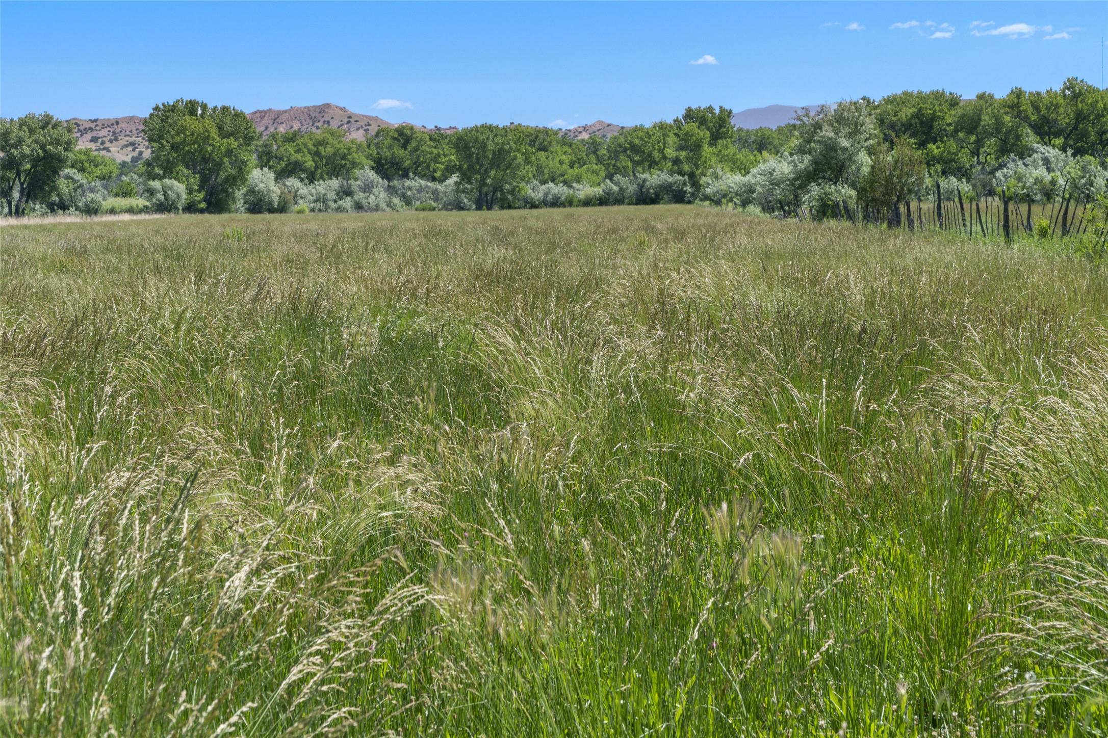 789 County Road 01, Hernandez, New Mexico image 34