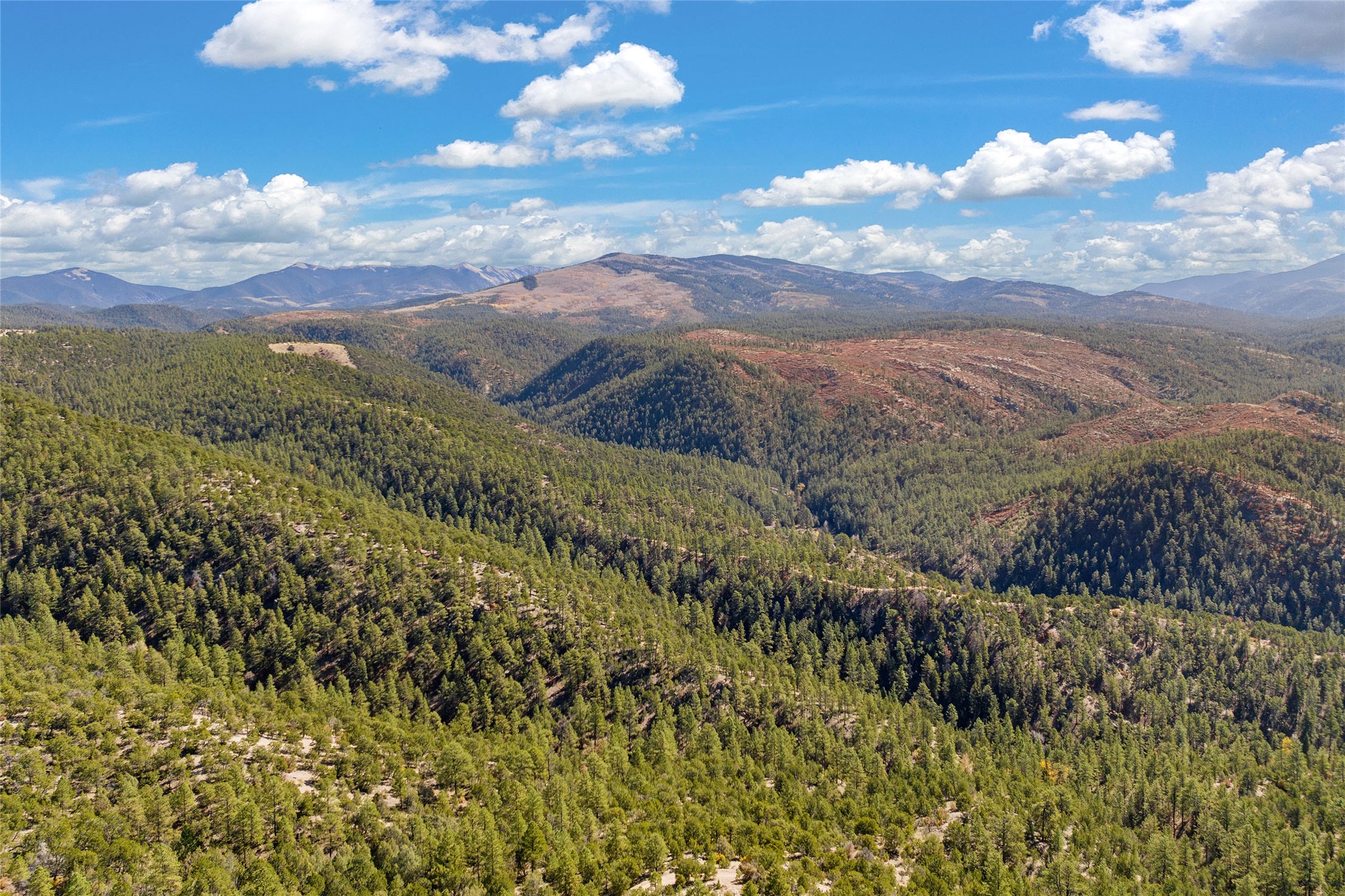 TBD 7.2 Ac County Road 78, Truchas, New Mexico image 6