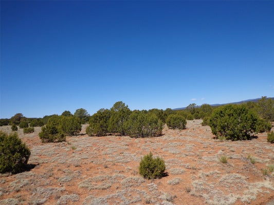 TRACT 1A CAMINO DEL SOL, SERAFINA, NM 87569 - Image a34b1b1b4b7ef3f00f3a86a791b4fb1f/2287533992