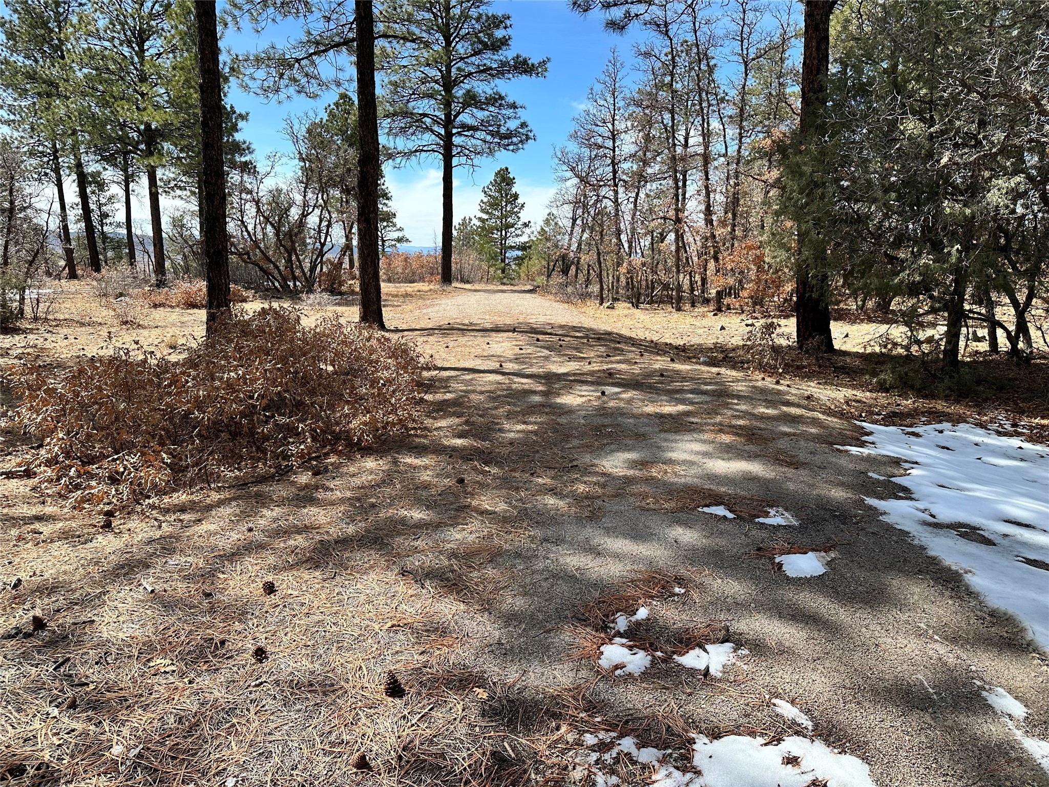 3 Forks, Chama, New Mexico image 2