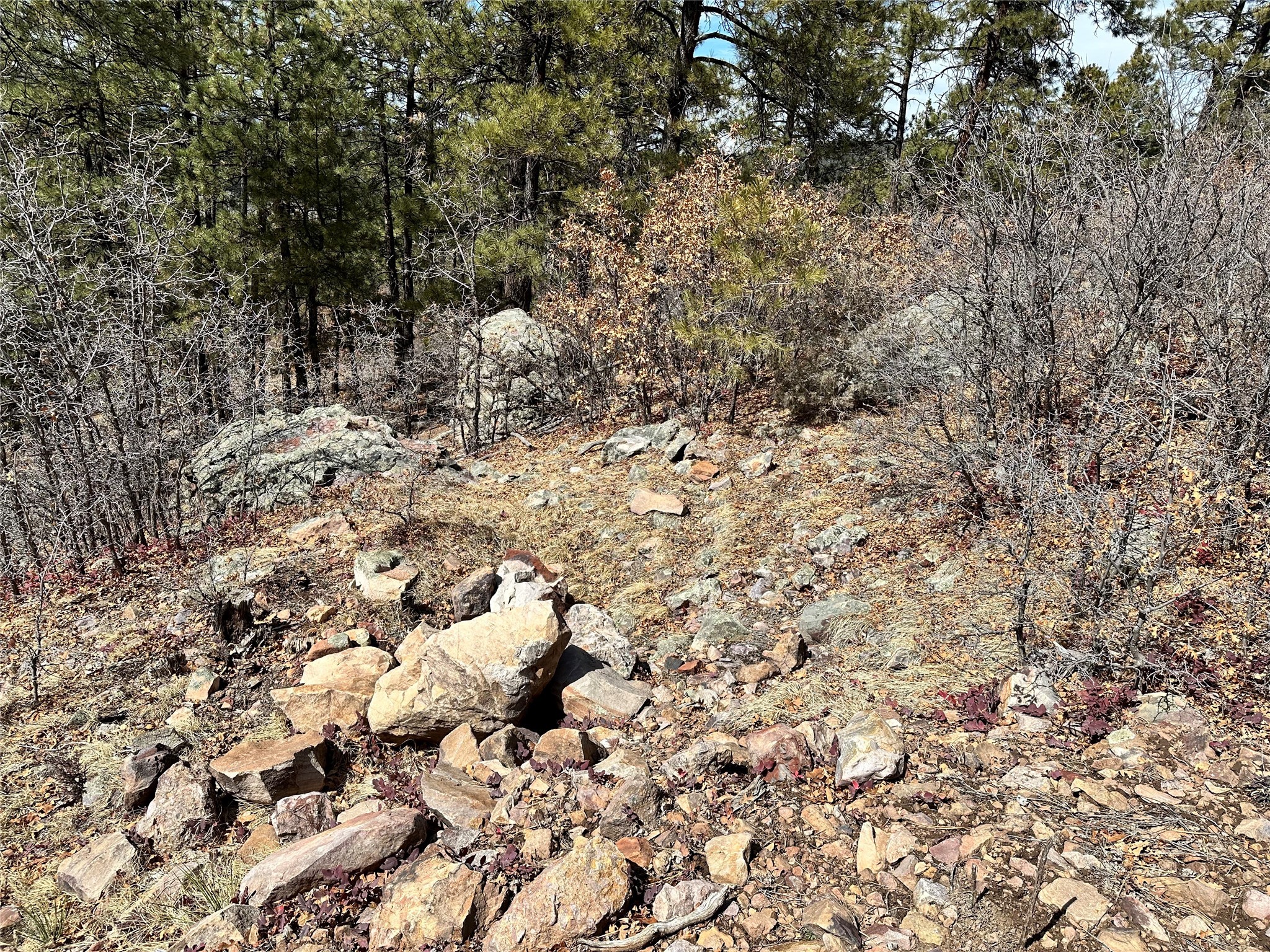 3 Forks, Chama, New Mexico image 7