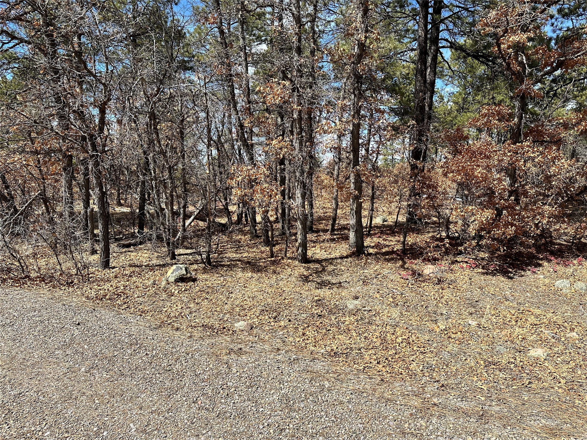 3 Forks, Chama, New Mexico image 4