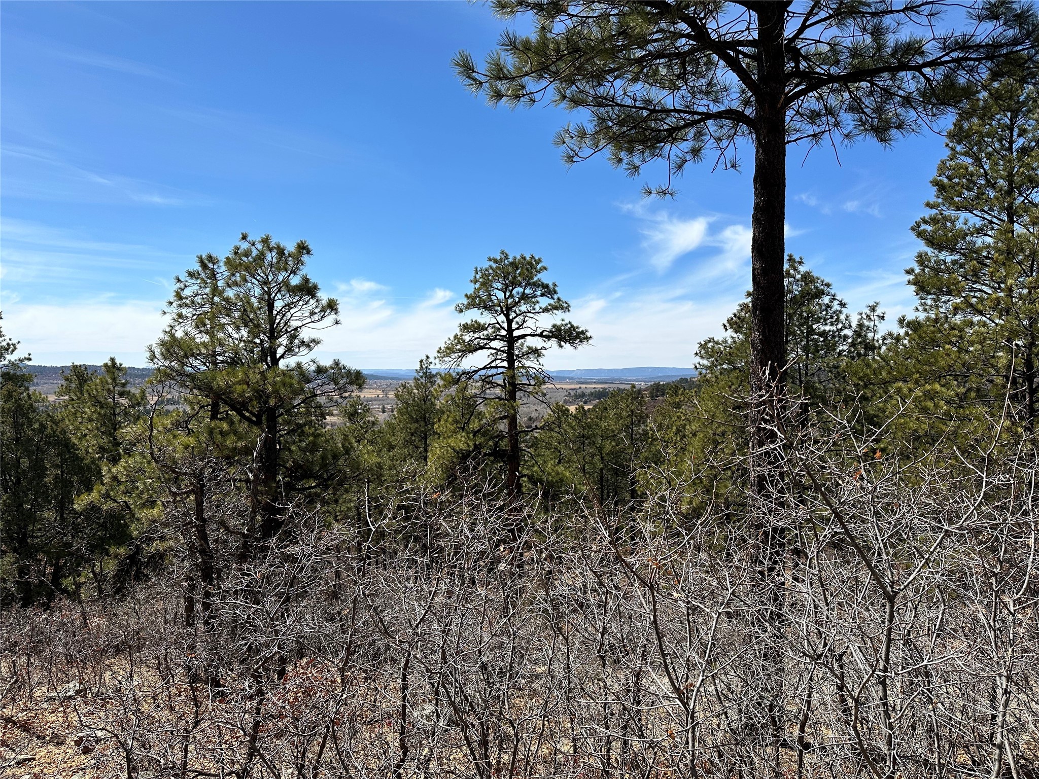 3 Forks, Chama, New Mexico image 9