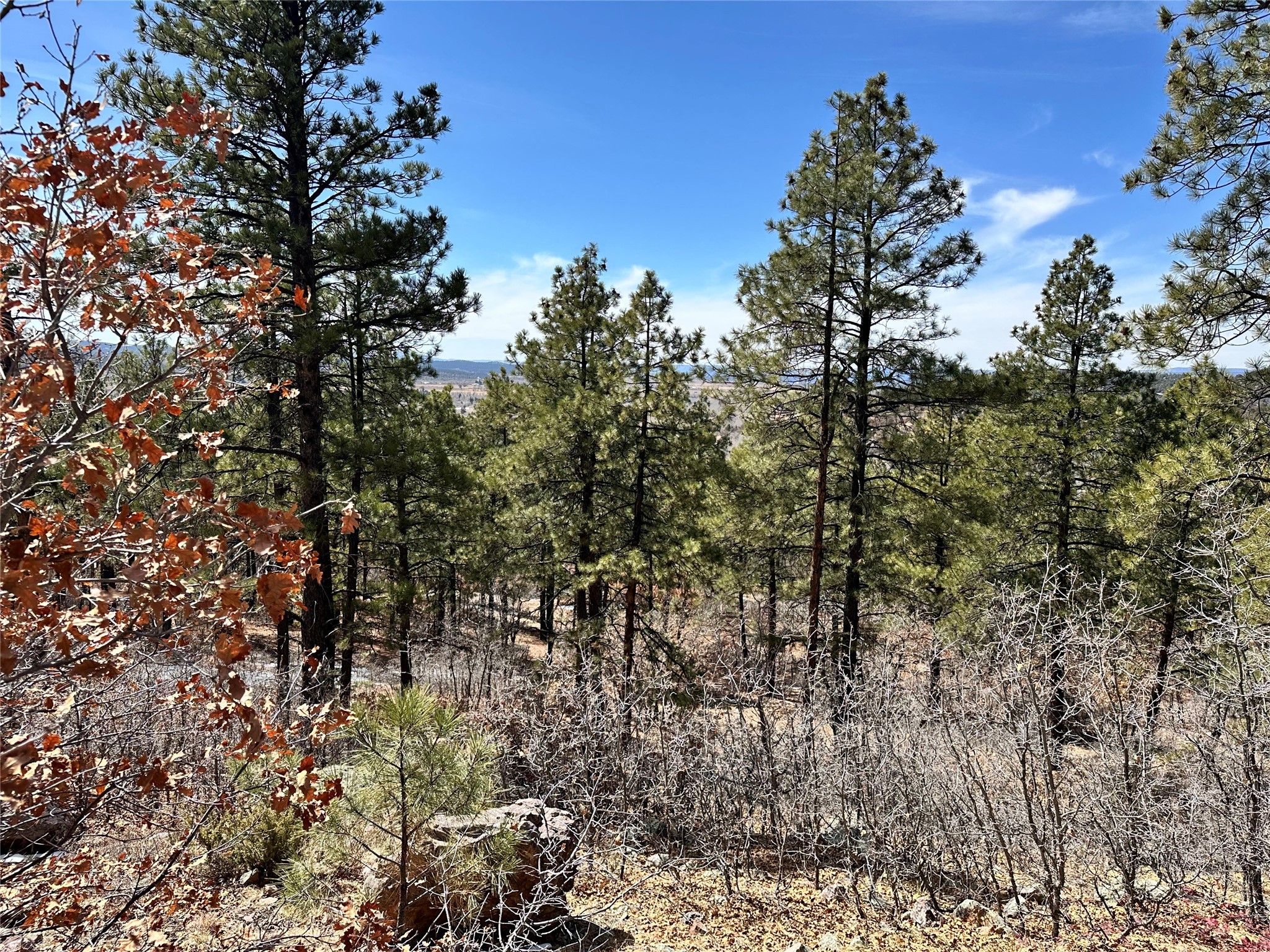 3 Forks, Chama, New Mexico image 6
