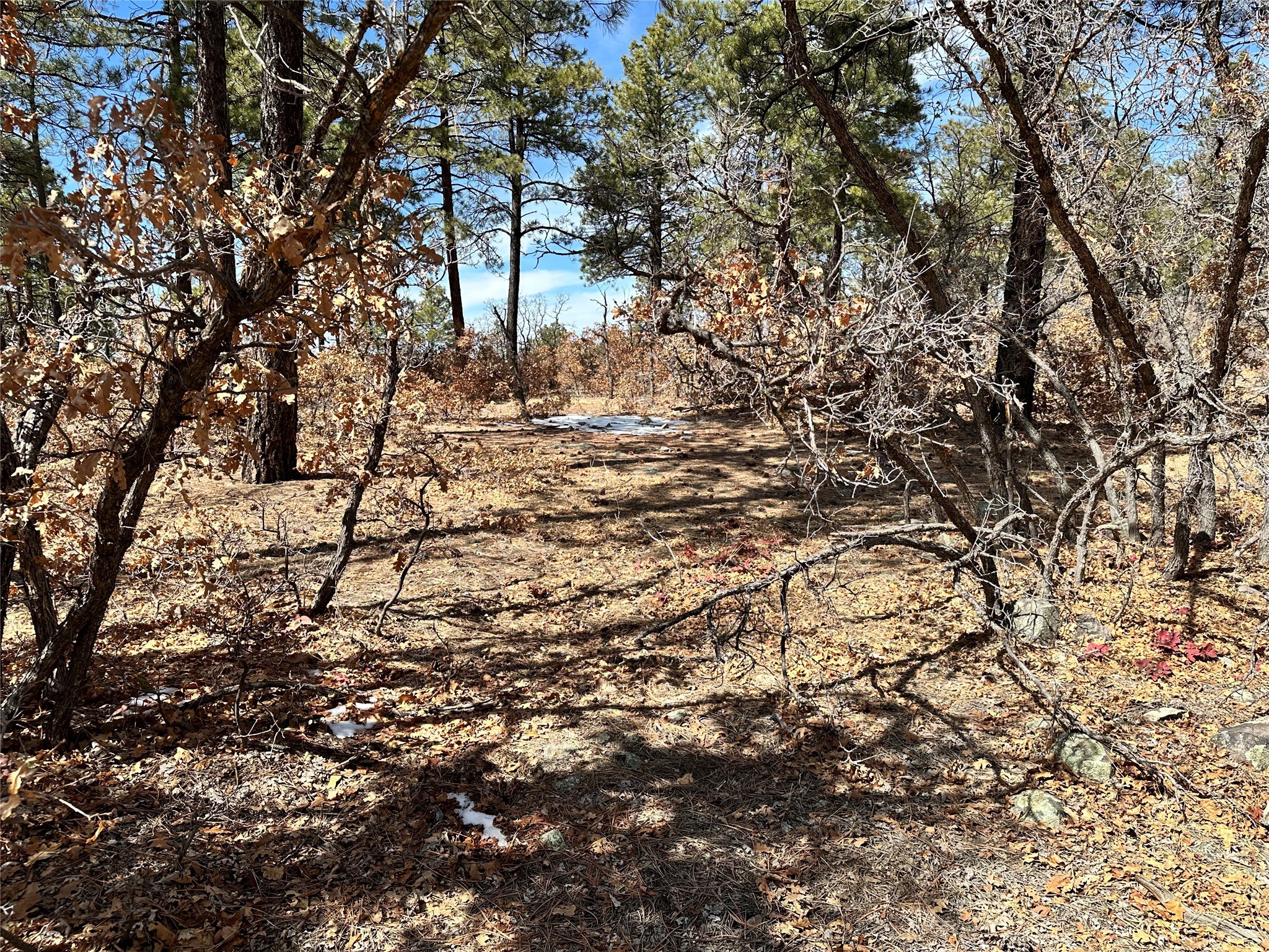 3 Forks, Chama, New Mexico image 13