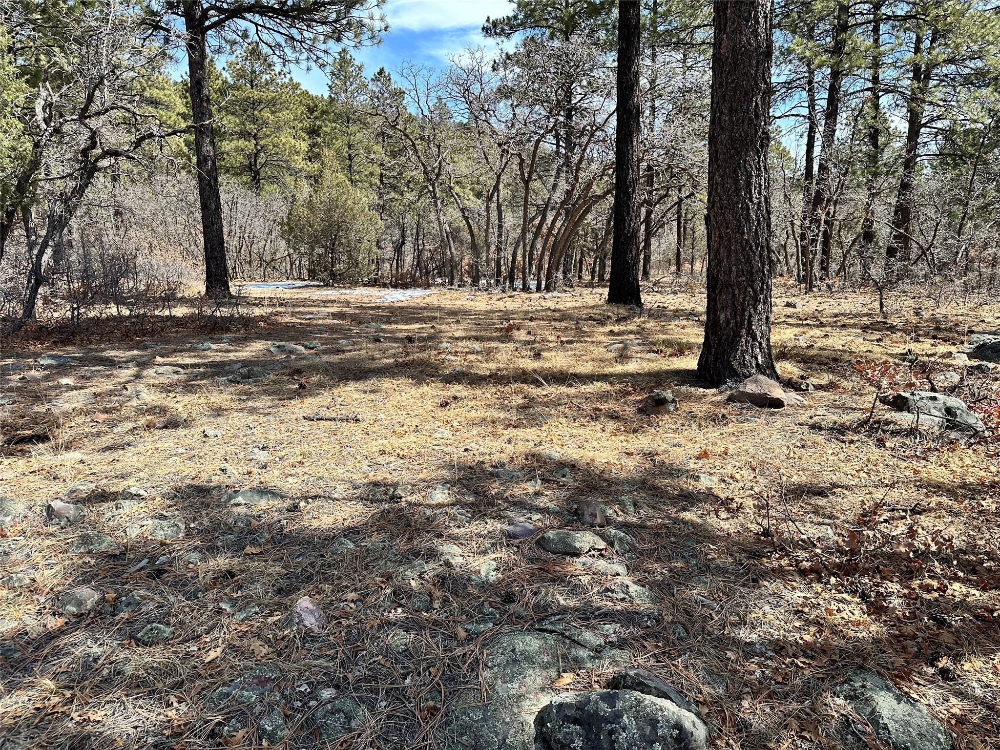 3 Forks, Chama, New Mexico image 10