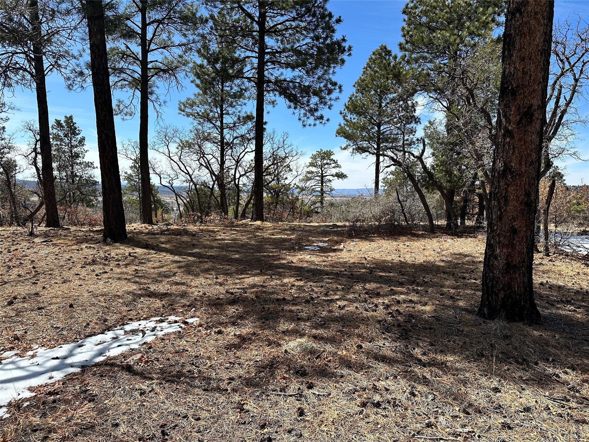 3 Forks, Chama, New Mexico image 11