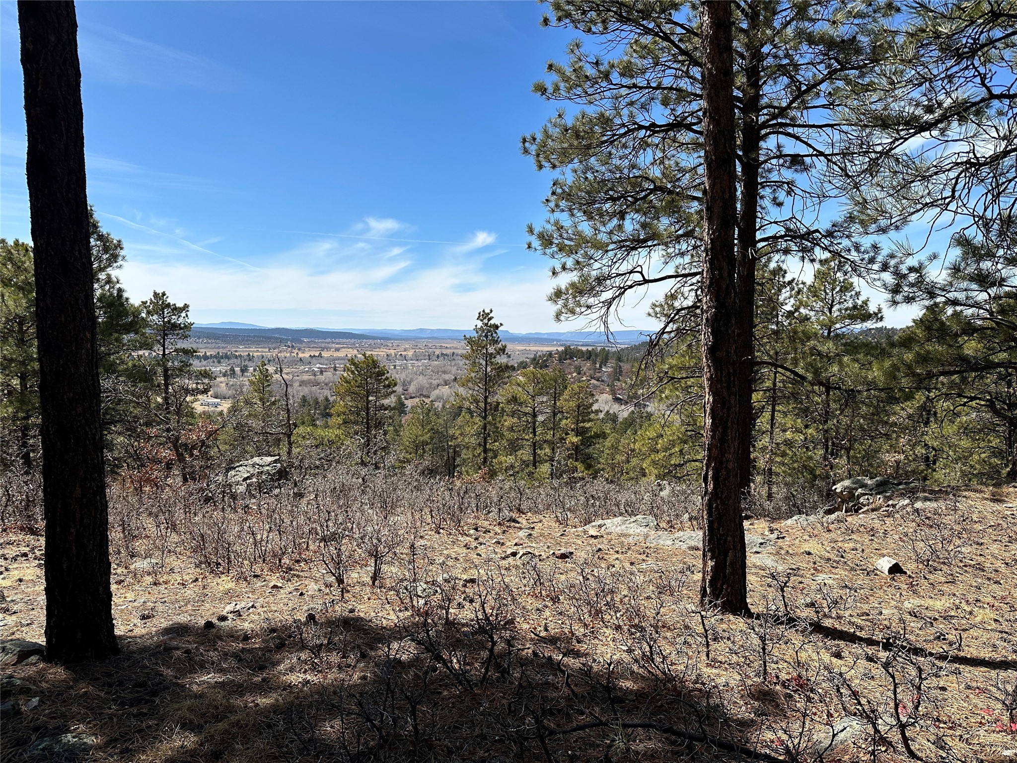 3 Forks, Chama, New Mexico image 16