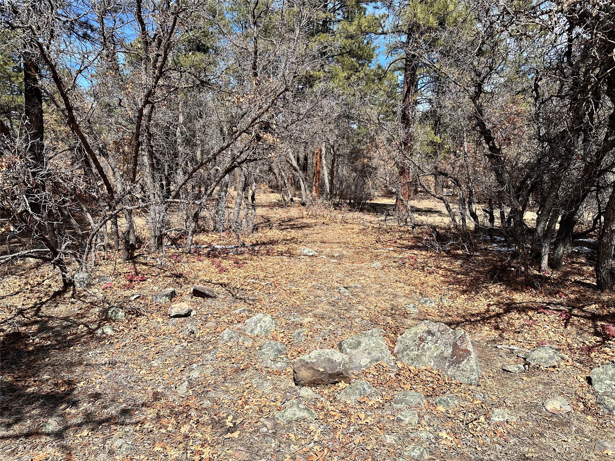 3 Forks, Chama, New Mexico image 12