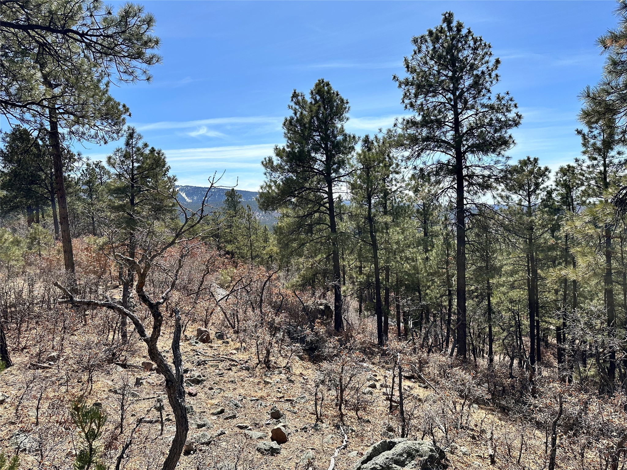 3 Forks, Chama, New Mexico image 14