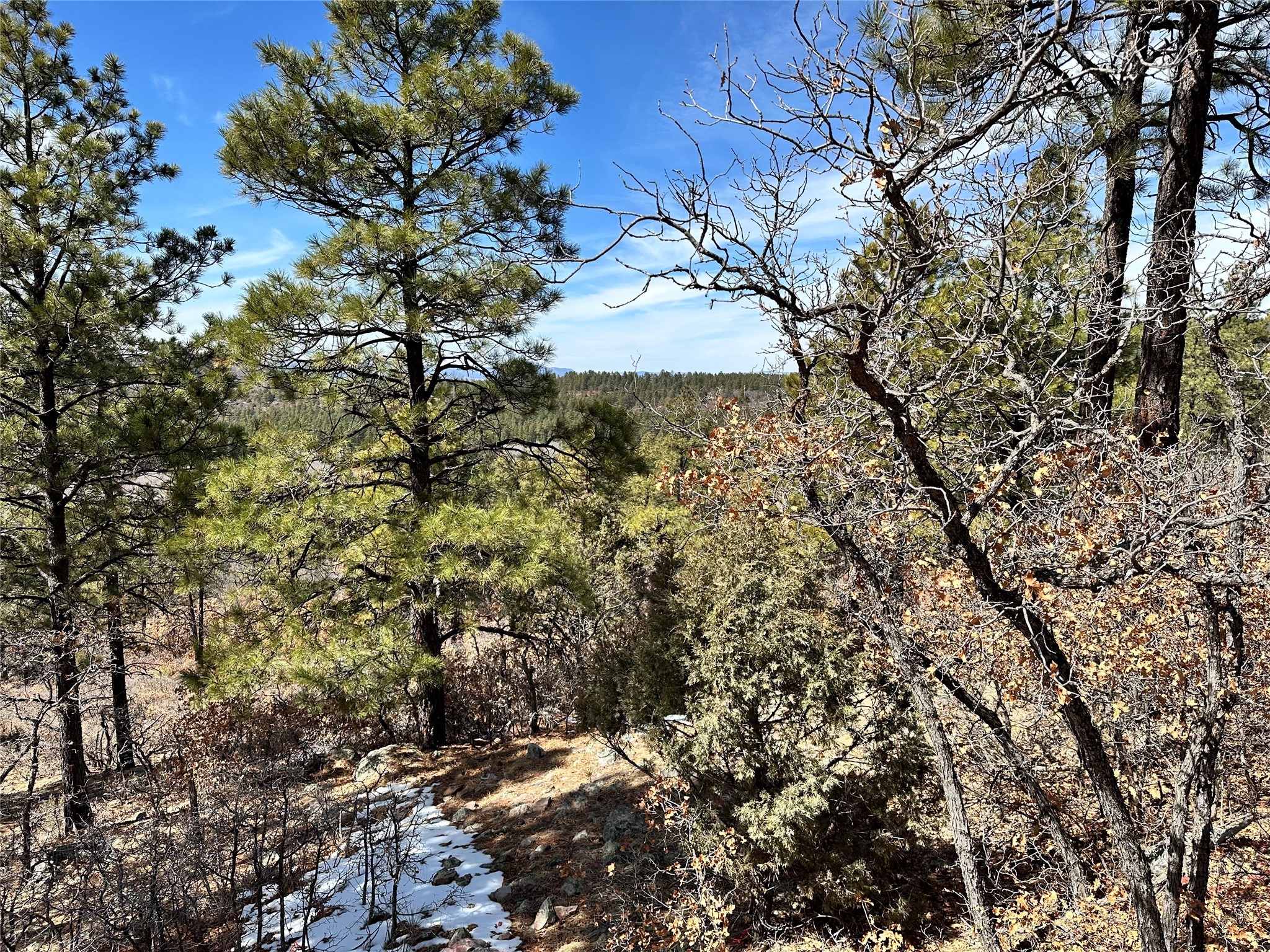 3 Forks, Chama, New Mexico image 15