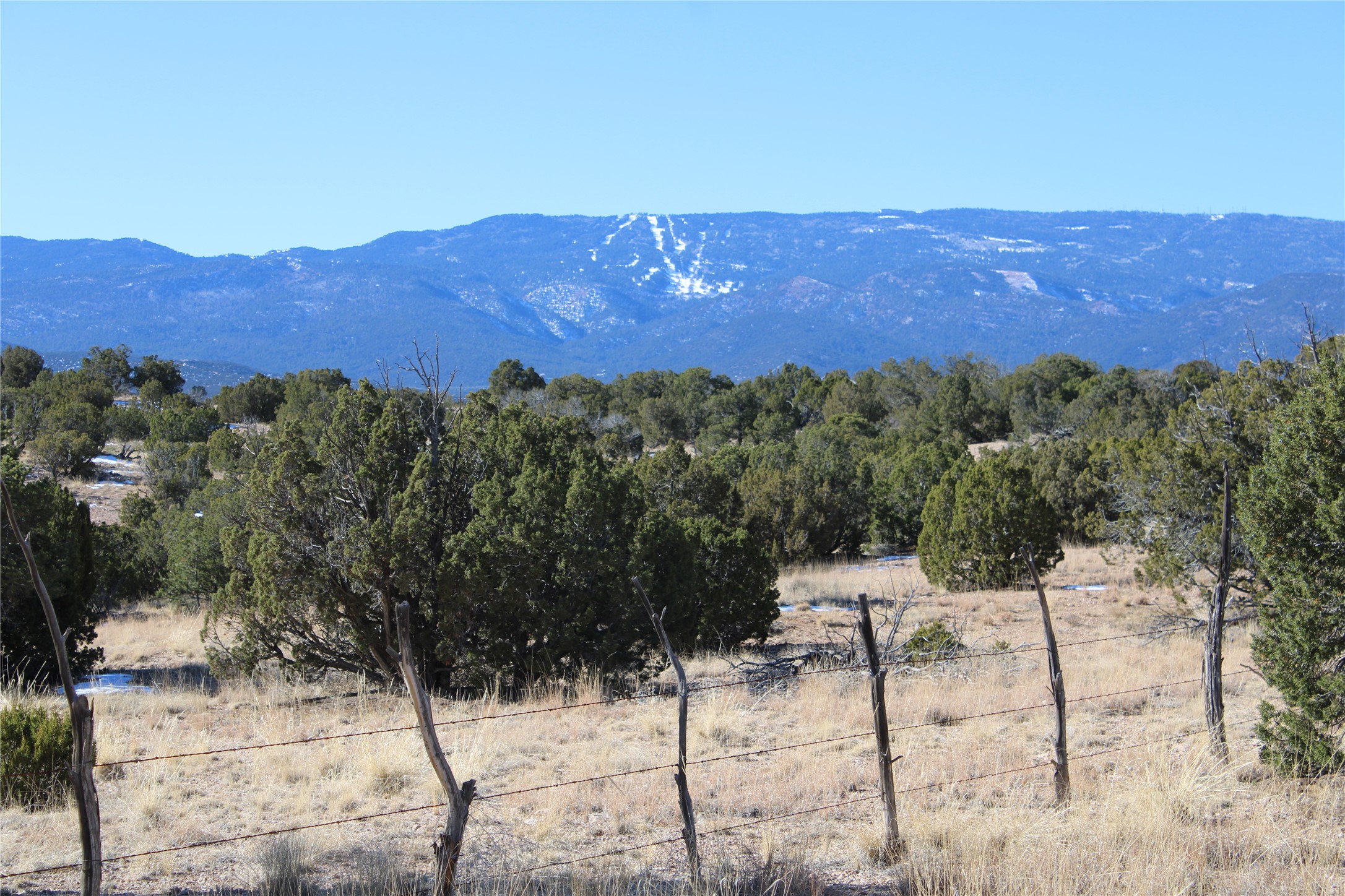 105 Acres, Sandia Park, New Mexico image 13